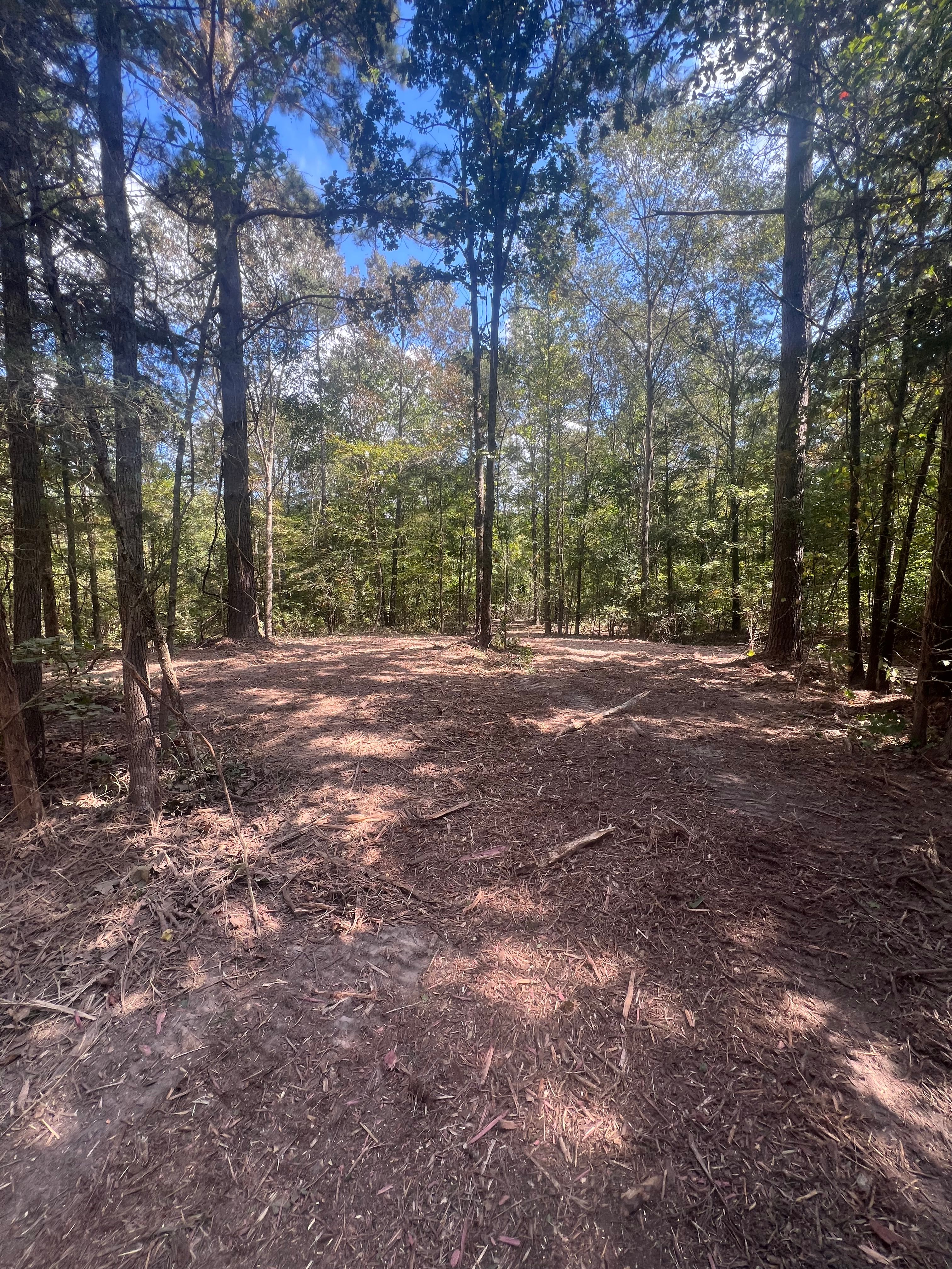  for 903 Mulching in East Mountain, TX