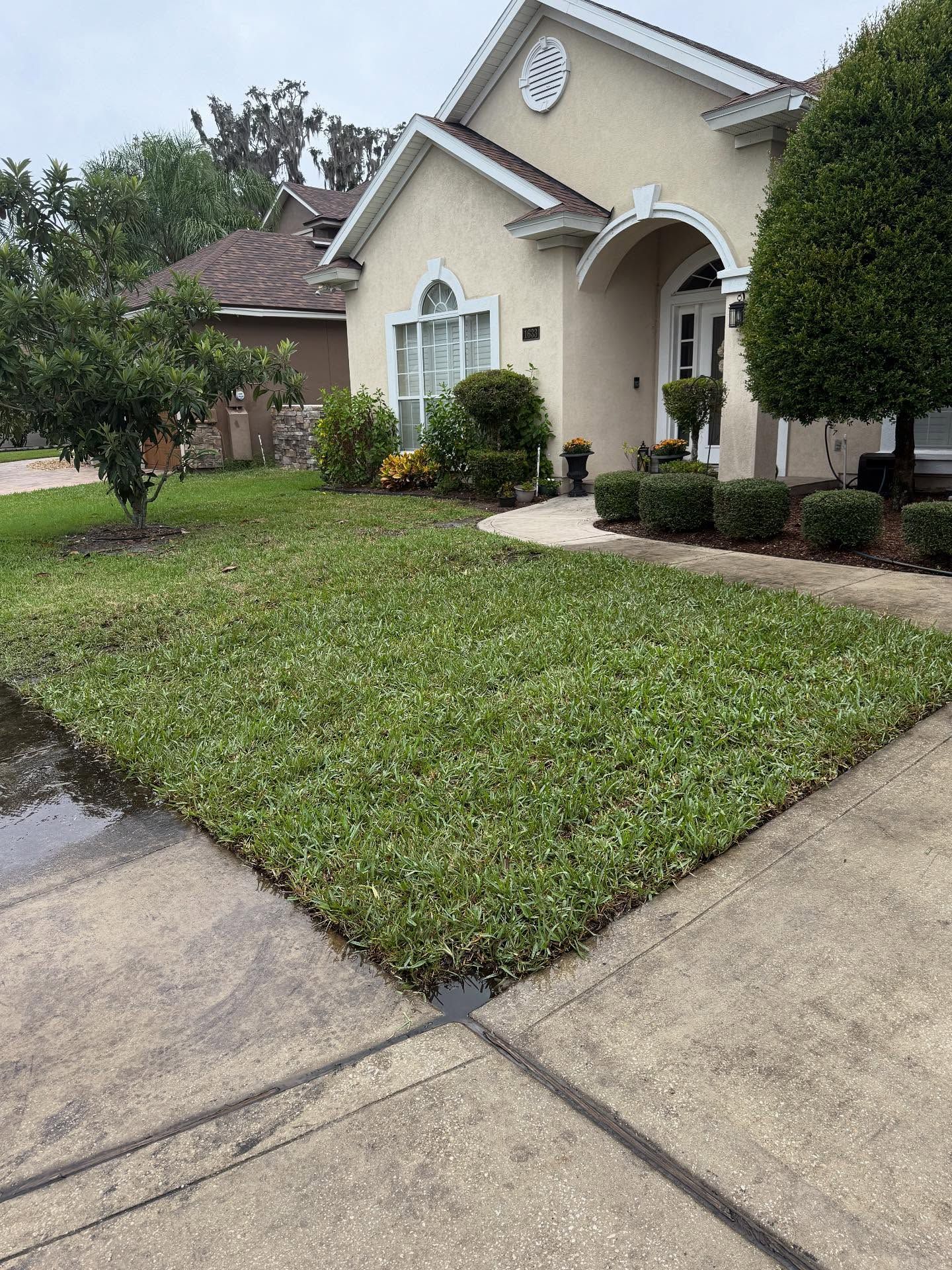  for Whole 9 Yards Services in Green Cove Springs, FL