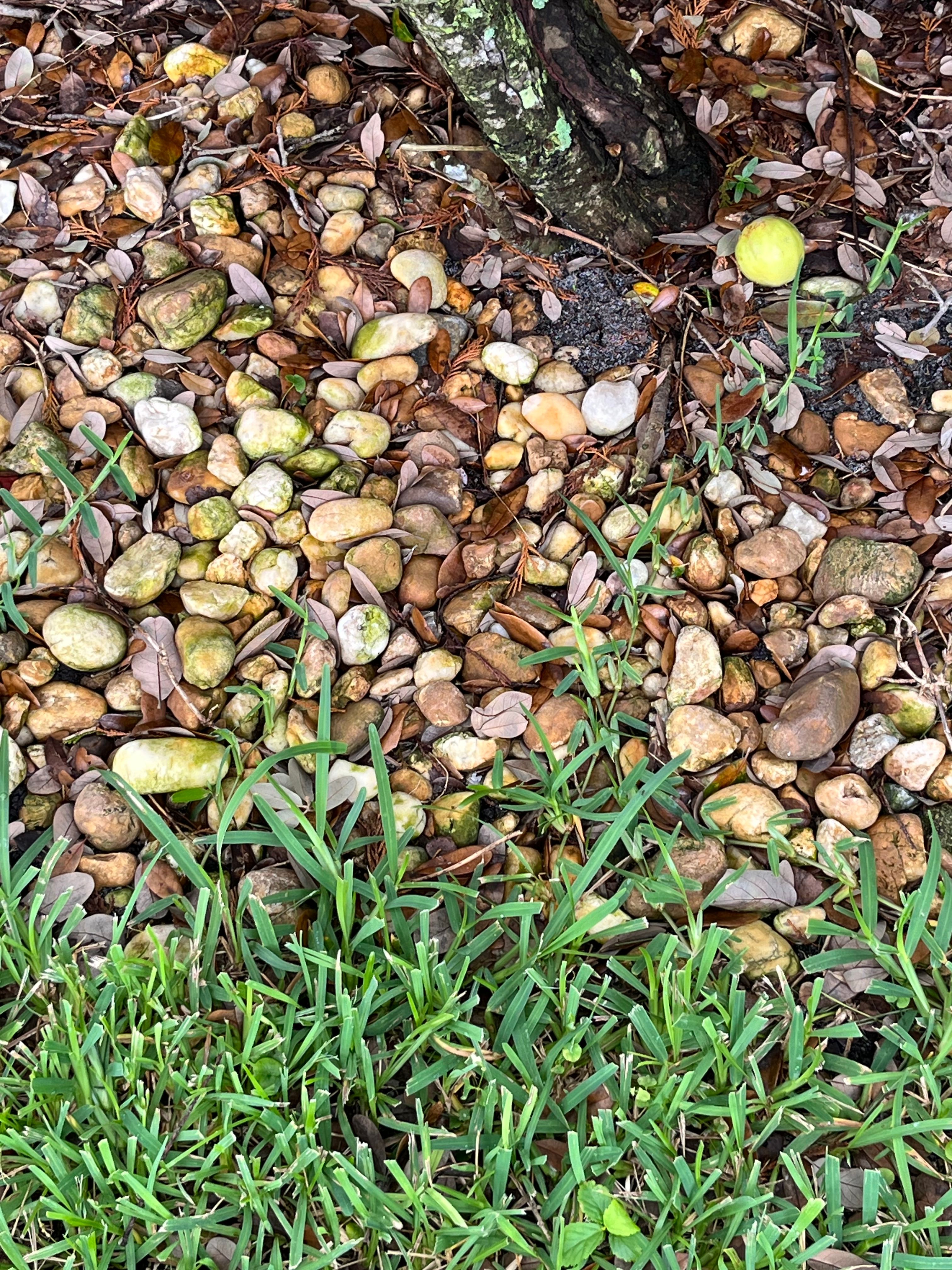  for Space Coast Property Maintenance and Management LLC in Melbourne, FL