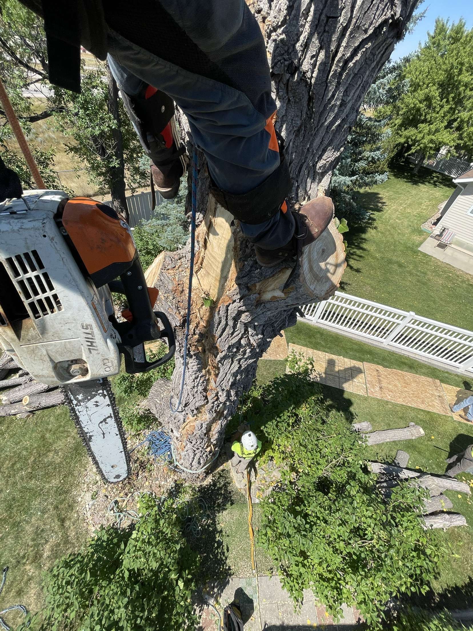  for Elevated Tree Care in Gillette, WY