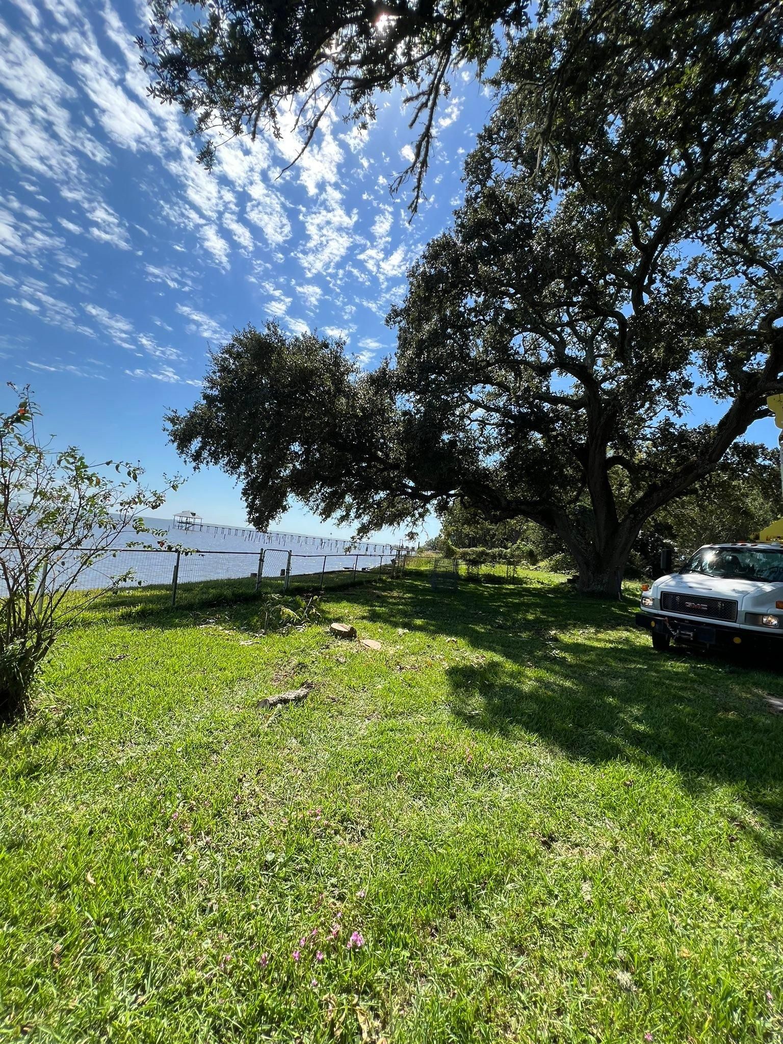  for Southern Venom Services in Daphne, AL