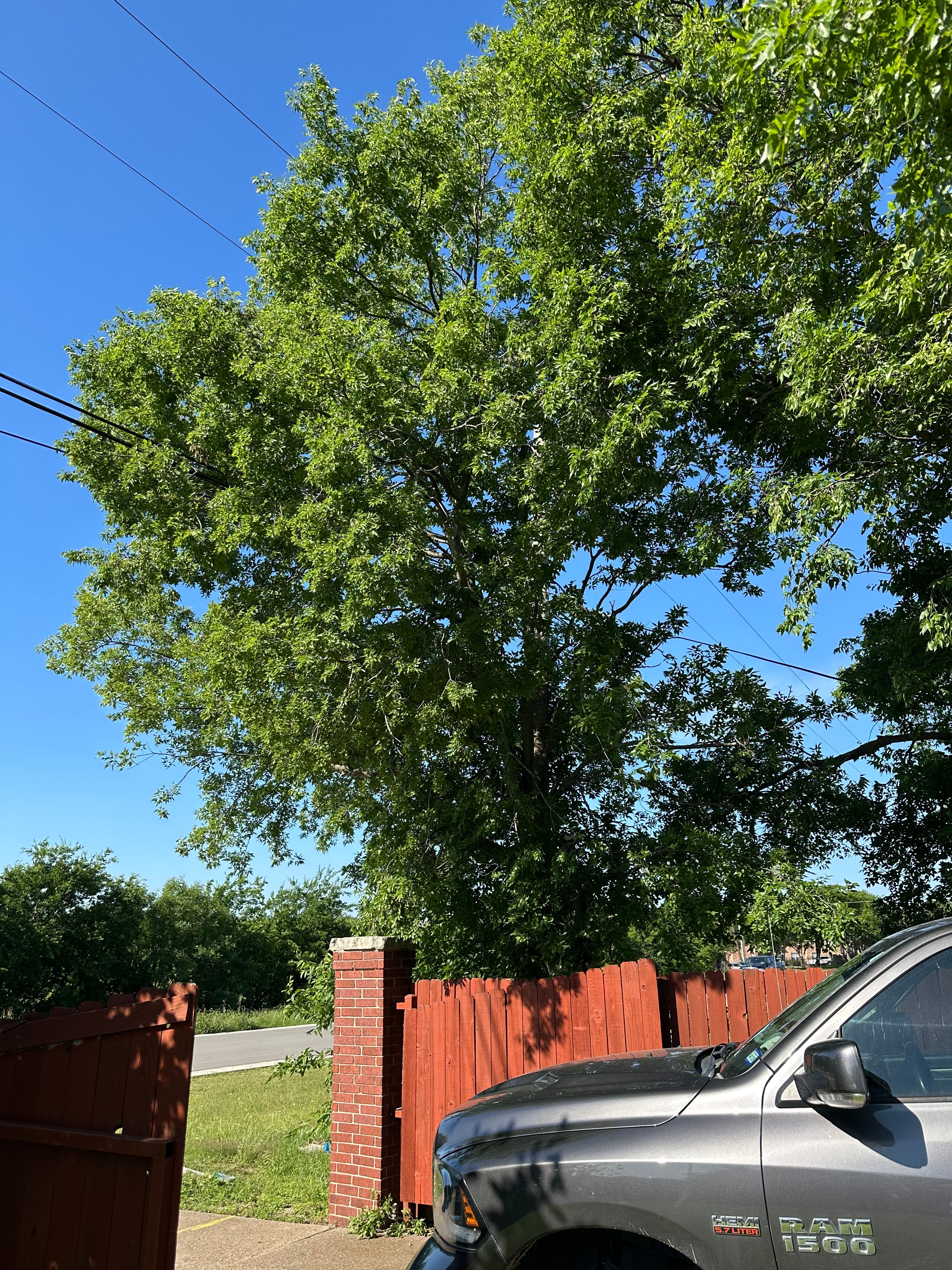  for Watson Lawn Care in Hillsboro, TX