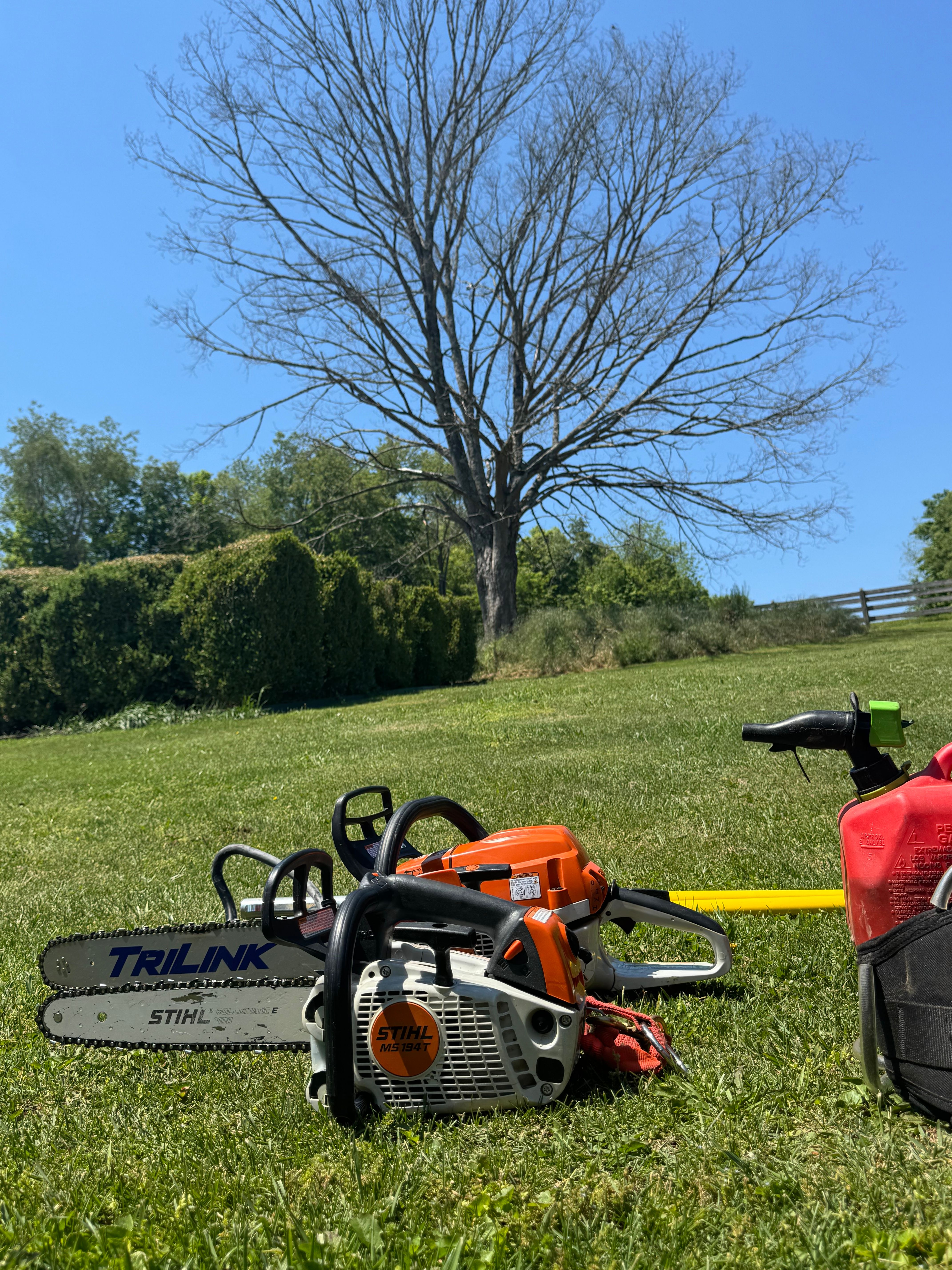 All Photos for Precision Cutz Tree Services, LLC in Coeburn, VA