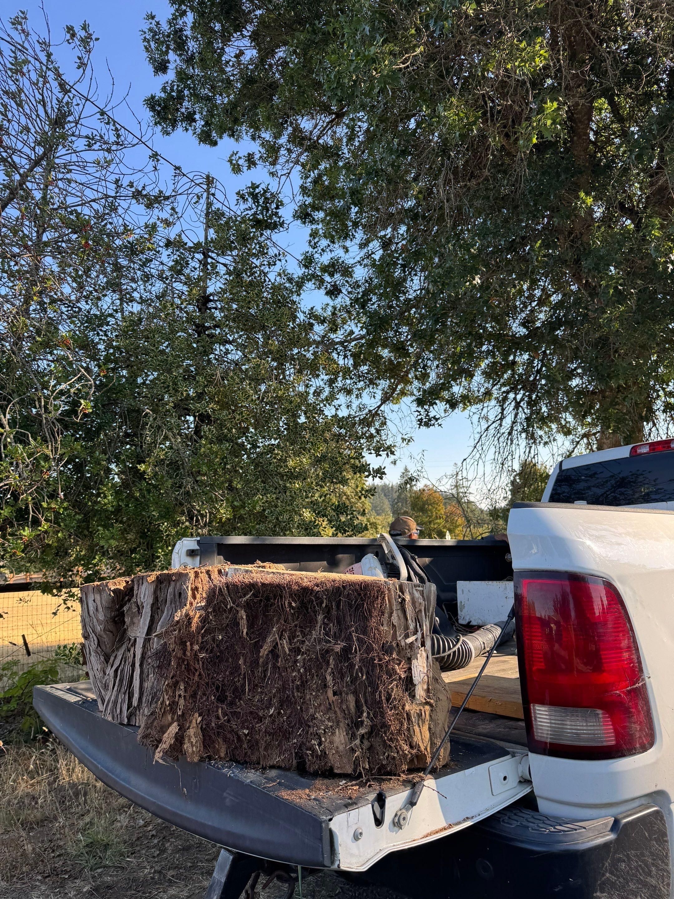  for Willamette Landscaping and Tree Services in Albany, OR