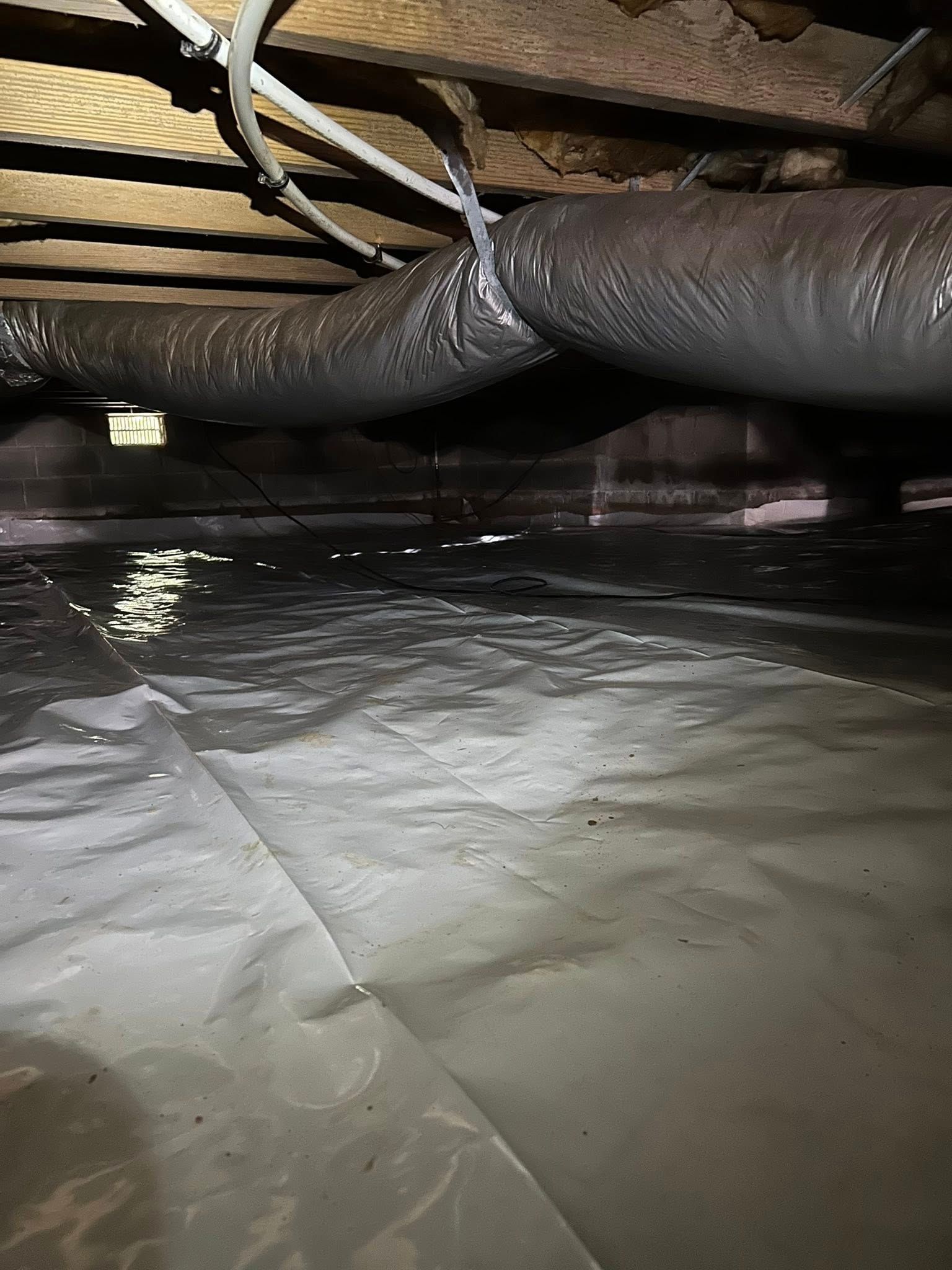  for Winecoff Pest Control in Salisbury, NC