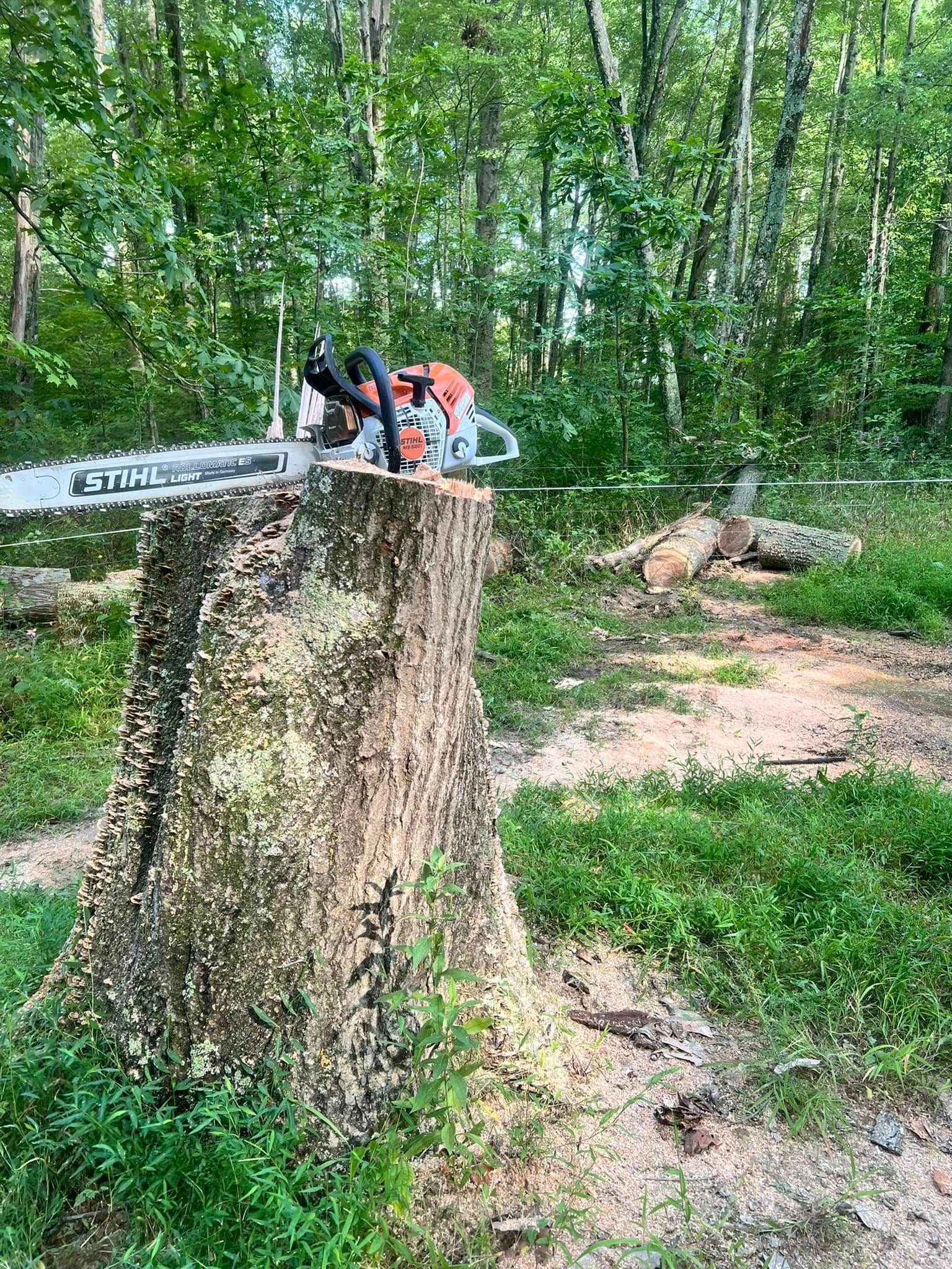 Tree Services for Kadin’s Tree Service in North Vernon, IN