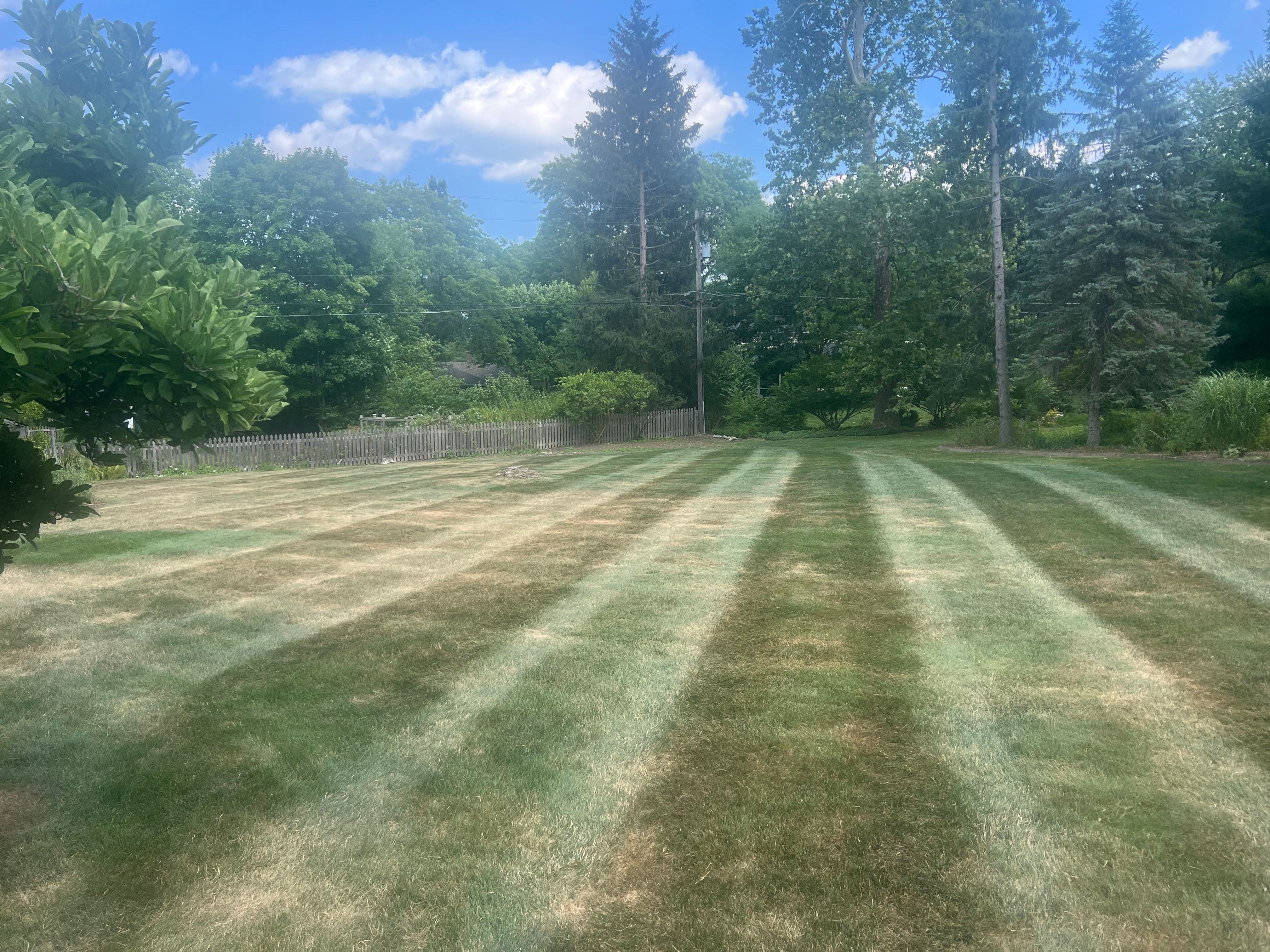  for Hammond Landscape in Okemos, MI