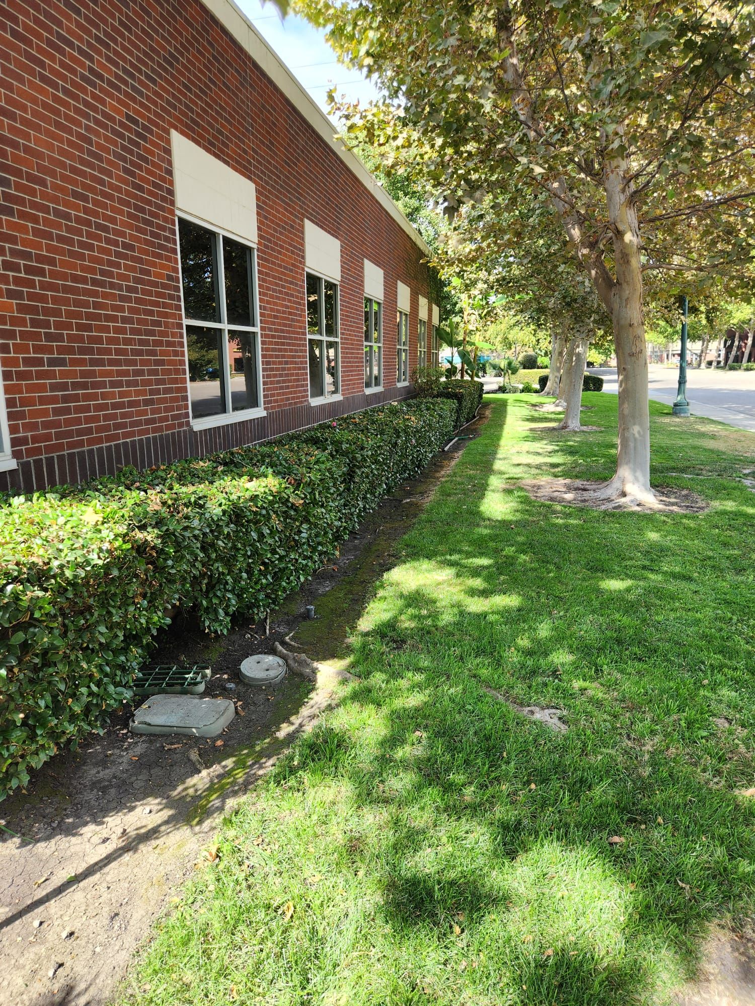  for Vargas LANSCAPE LLC in Stockton, CA