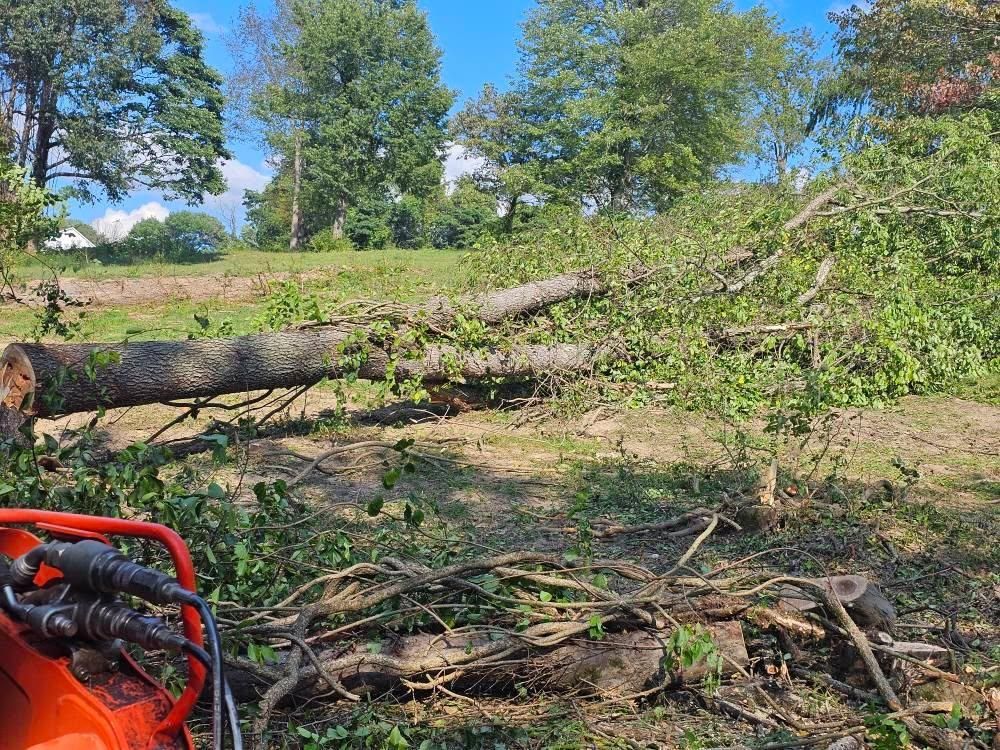  for I and R Stump Grinding in Thornville, OH