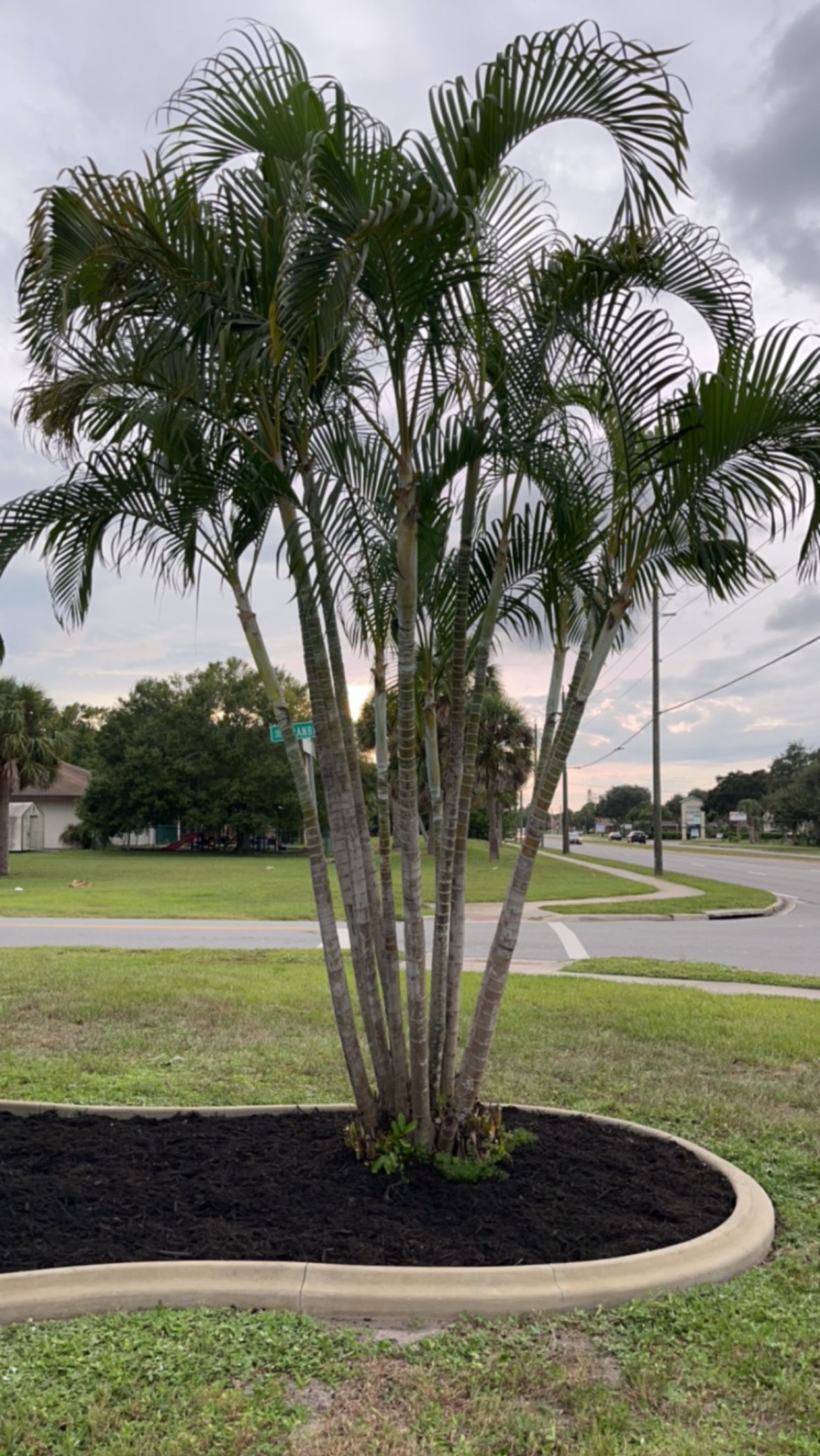  for Space Coast Property Maintenance and Management LLC in Melbourne, FL