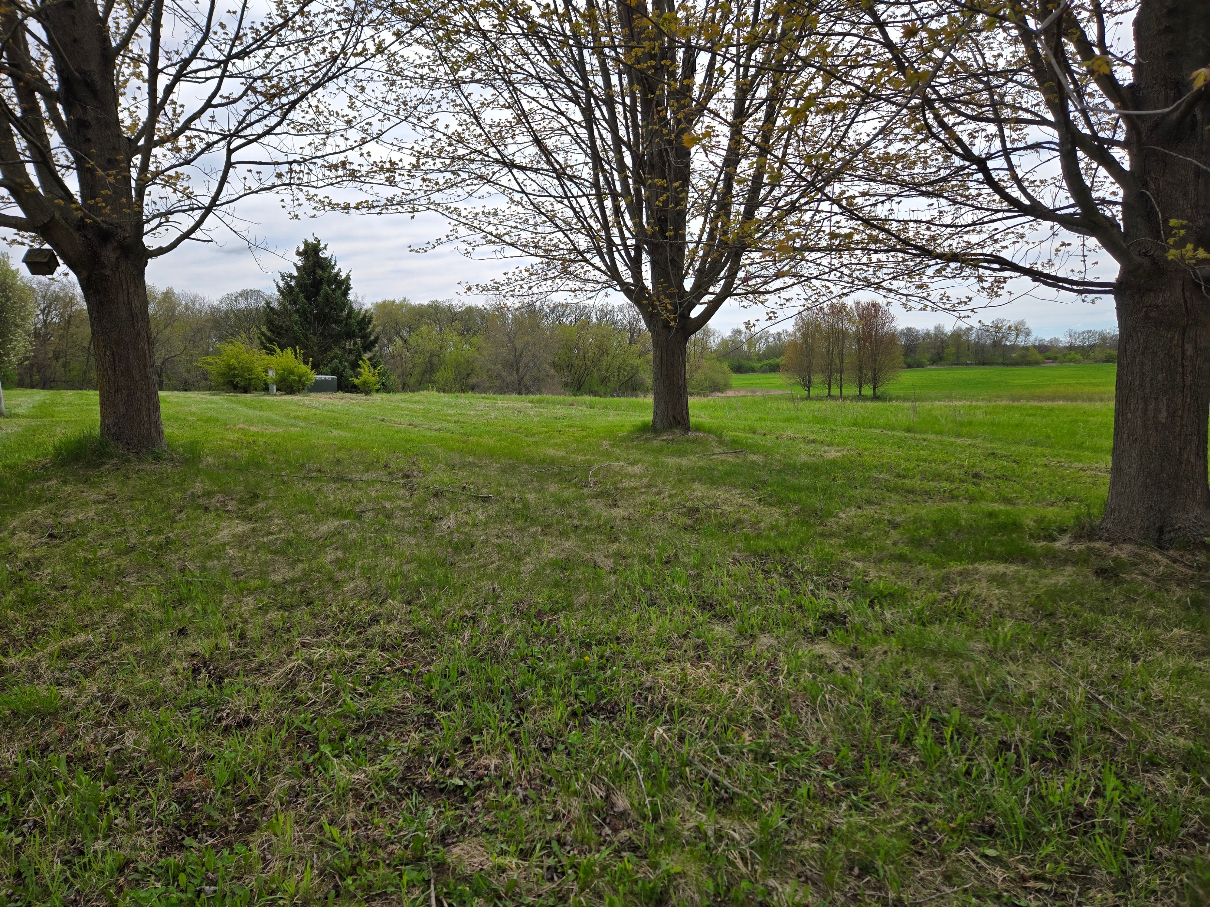 All Photos for Elite Landscaping in Hampshire, IL