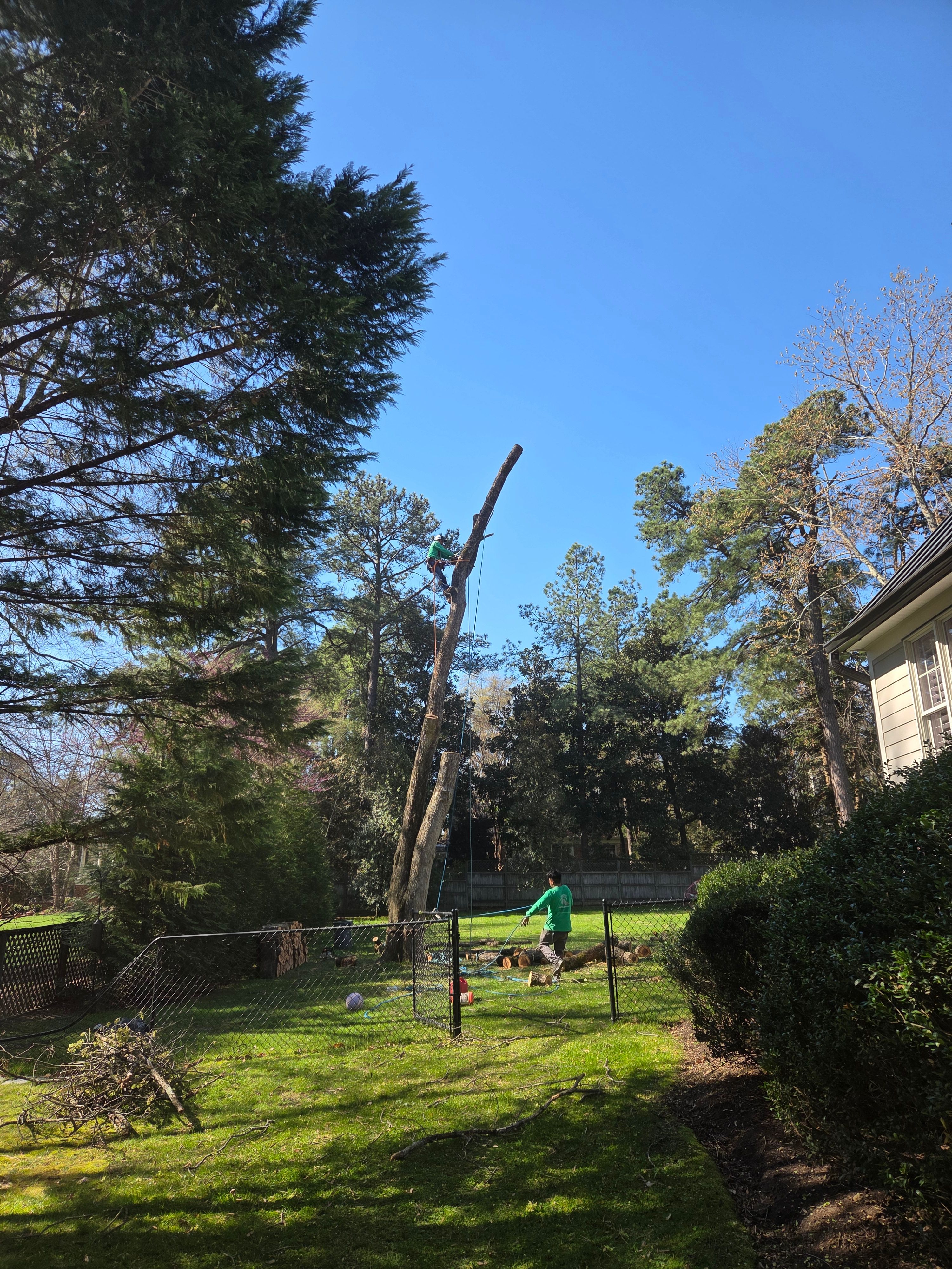  for Green Brothers Tree Services in Blacksburg, VA