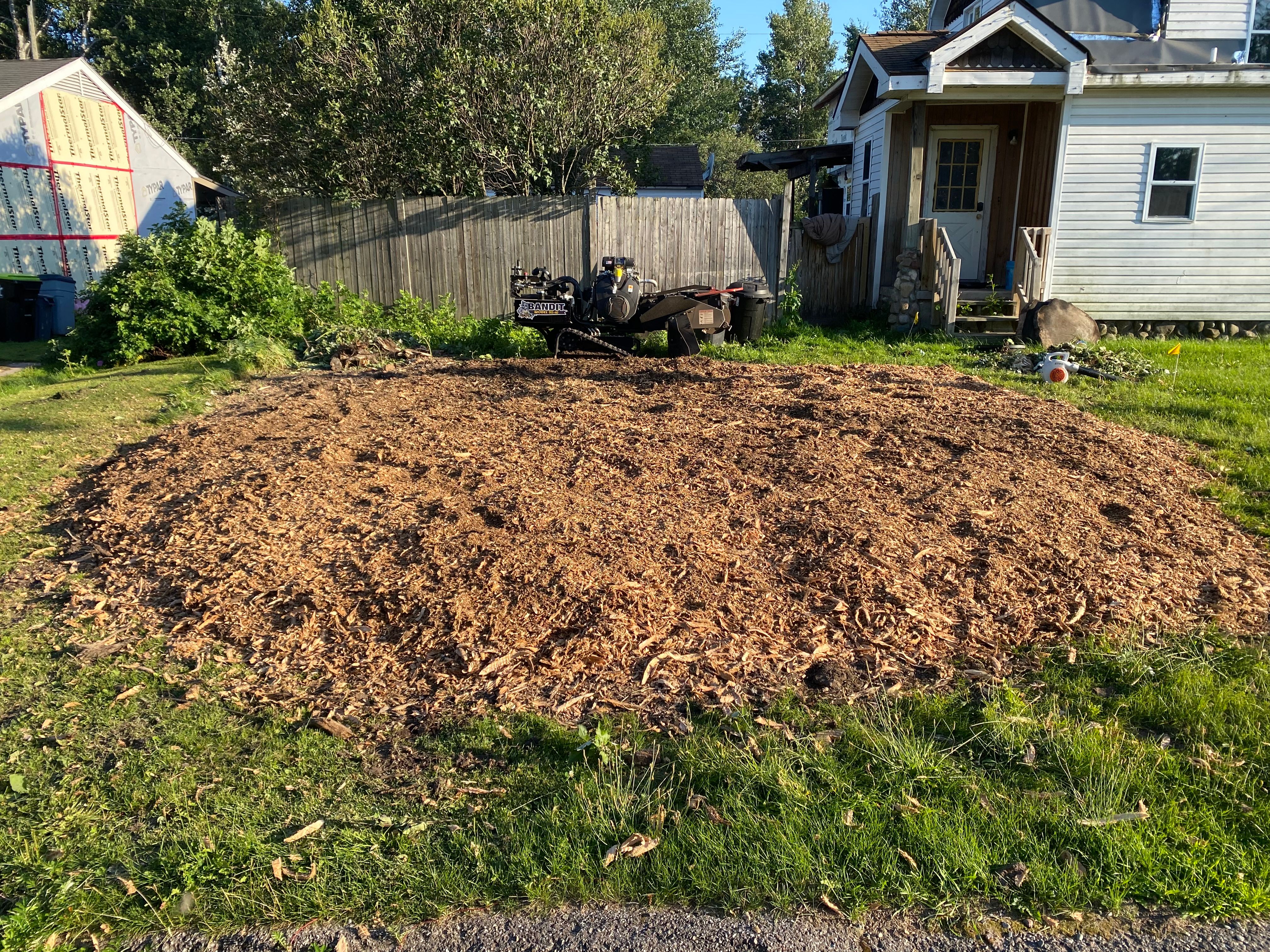 Tree Removal for Bear Creek Tree Service LLC in Rudyard, MI