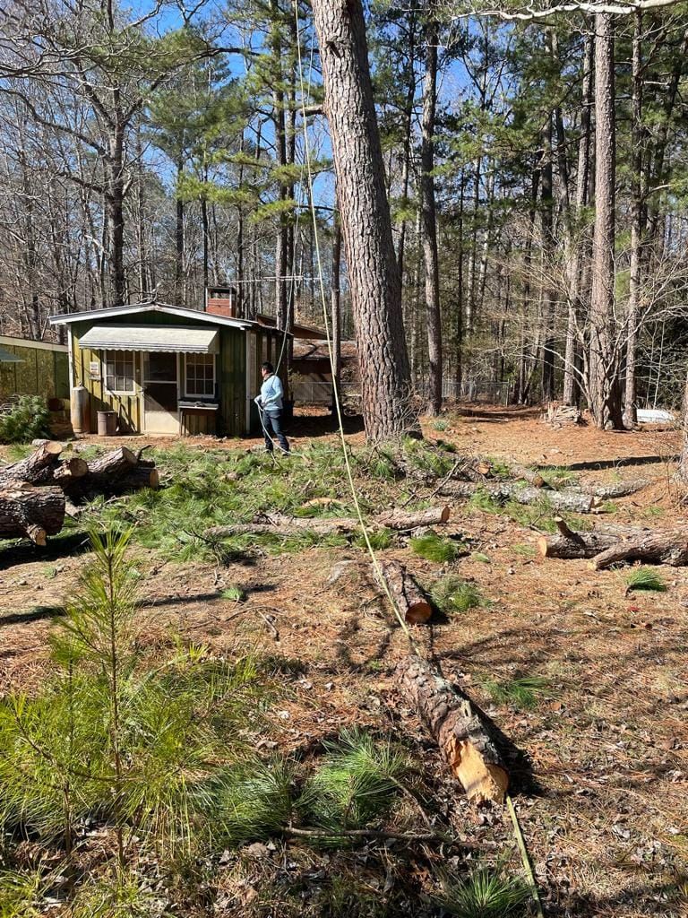 Tree Removal for Rosales Landscaping LLC in Lake Gaston, North Carolina