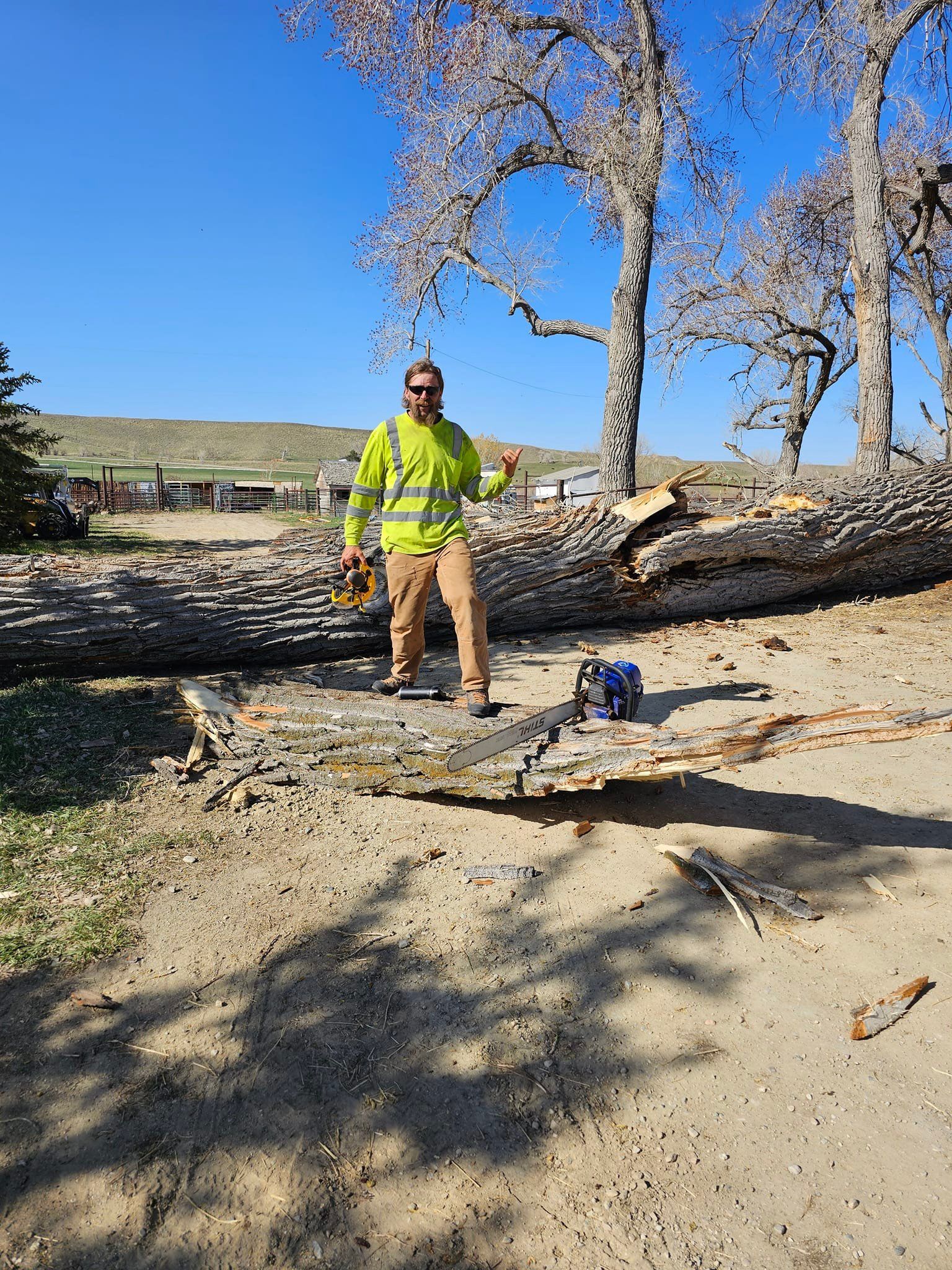  for Two Fellers Tree Service in Buffalo, WY