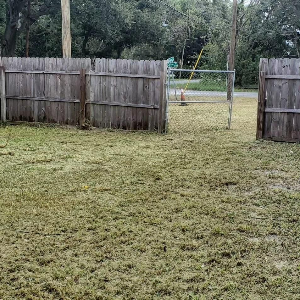  for 1 Friendly Lawn Service in Tampa, FL