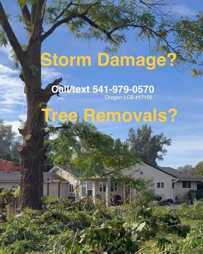  for Willamette Landscaping & Tree Services in Albany, OR