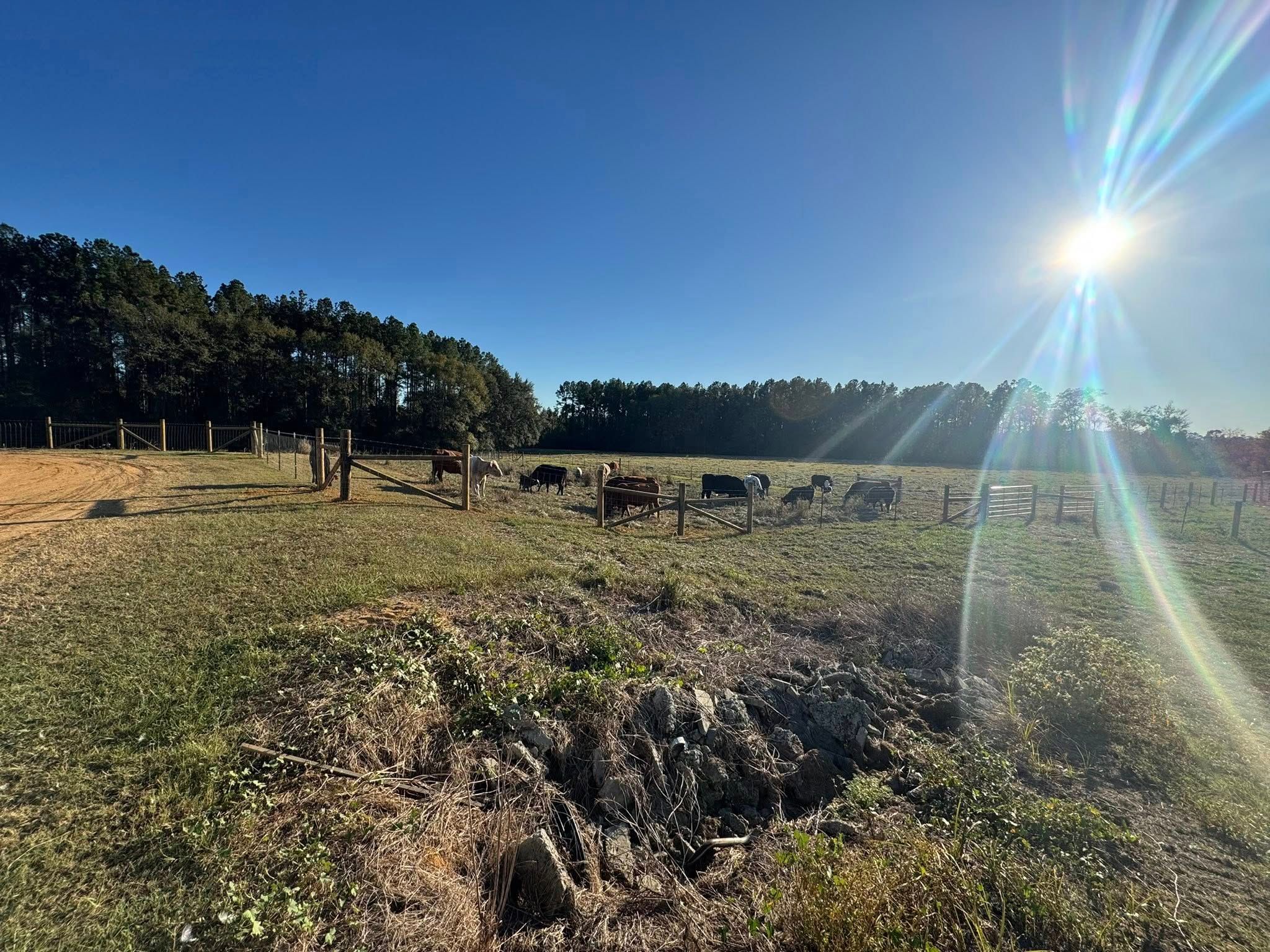  for South Ga. Land Development in Hazlehurst, GA