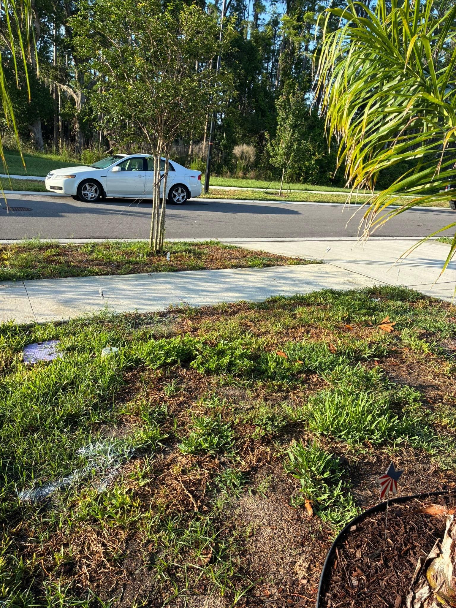  for Gulf Bay Sod in Clearwater, FL