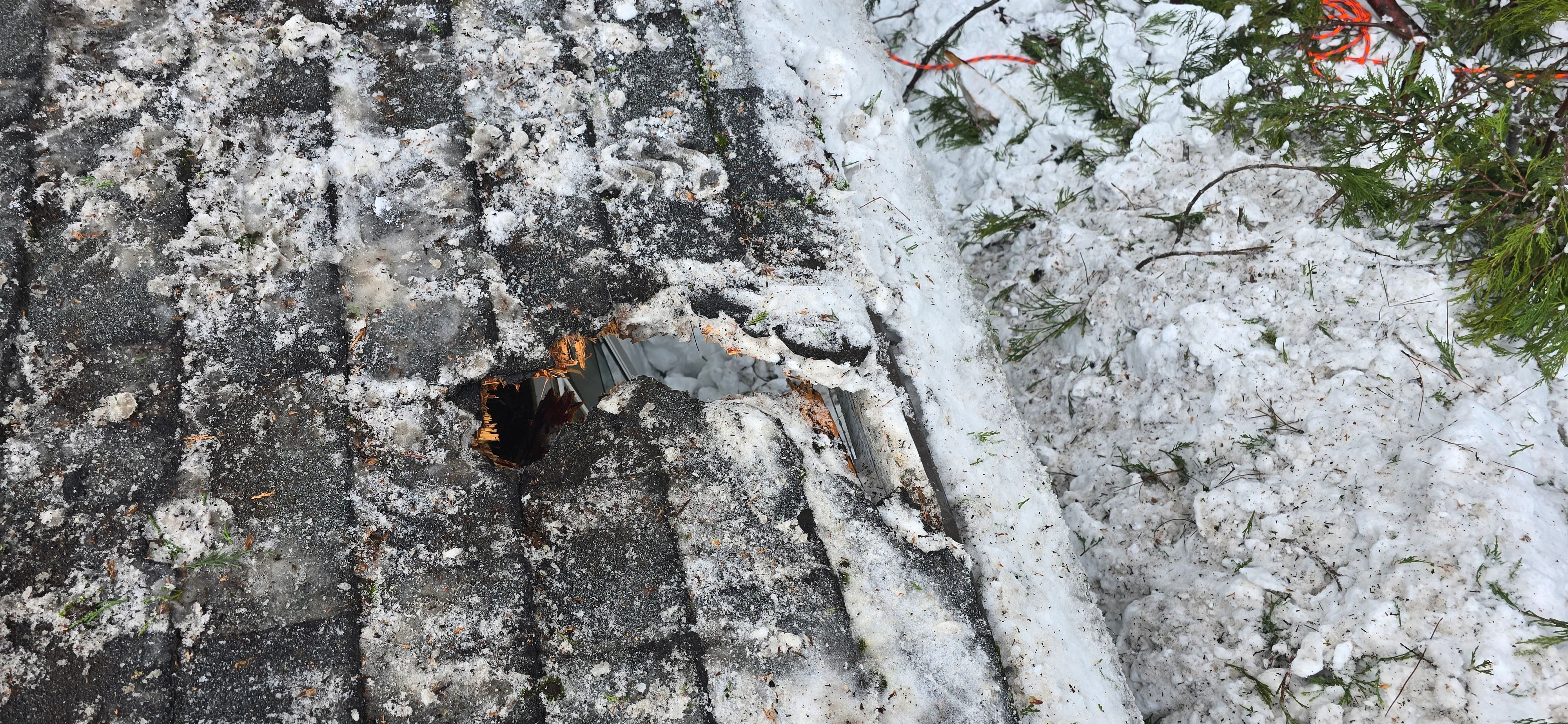  for George Staddan's Professional Tree Care in Placerville, CA