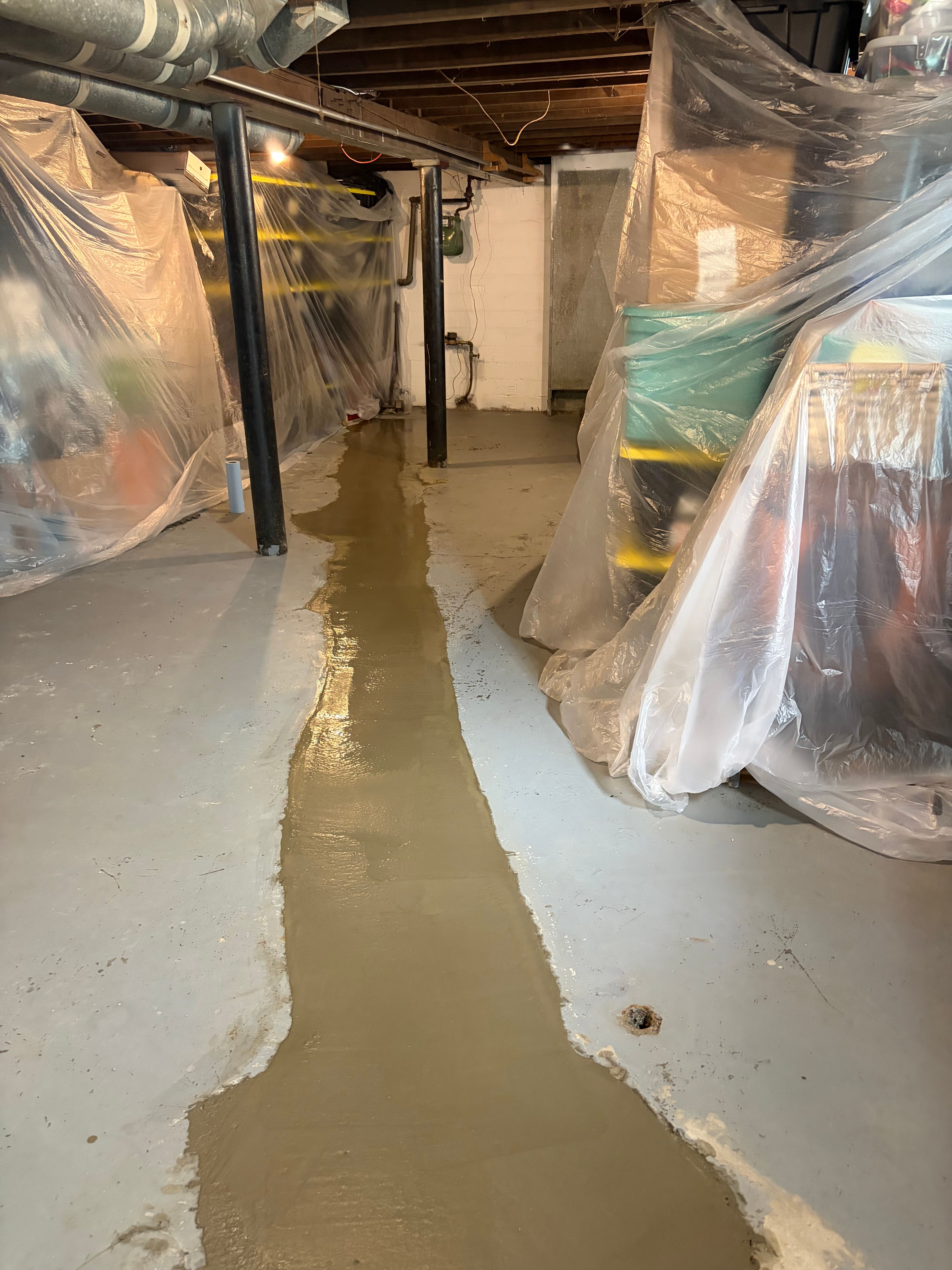  for The Drain Force in Cleveland, OH