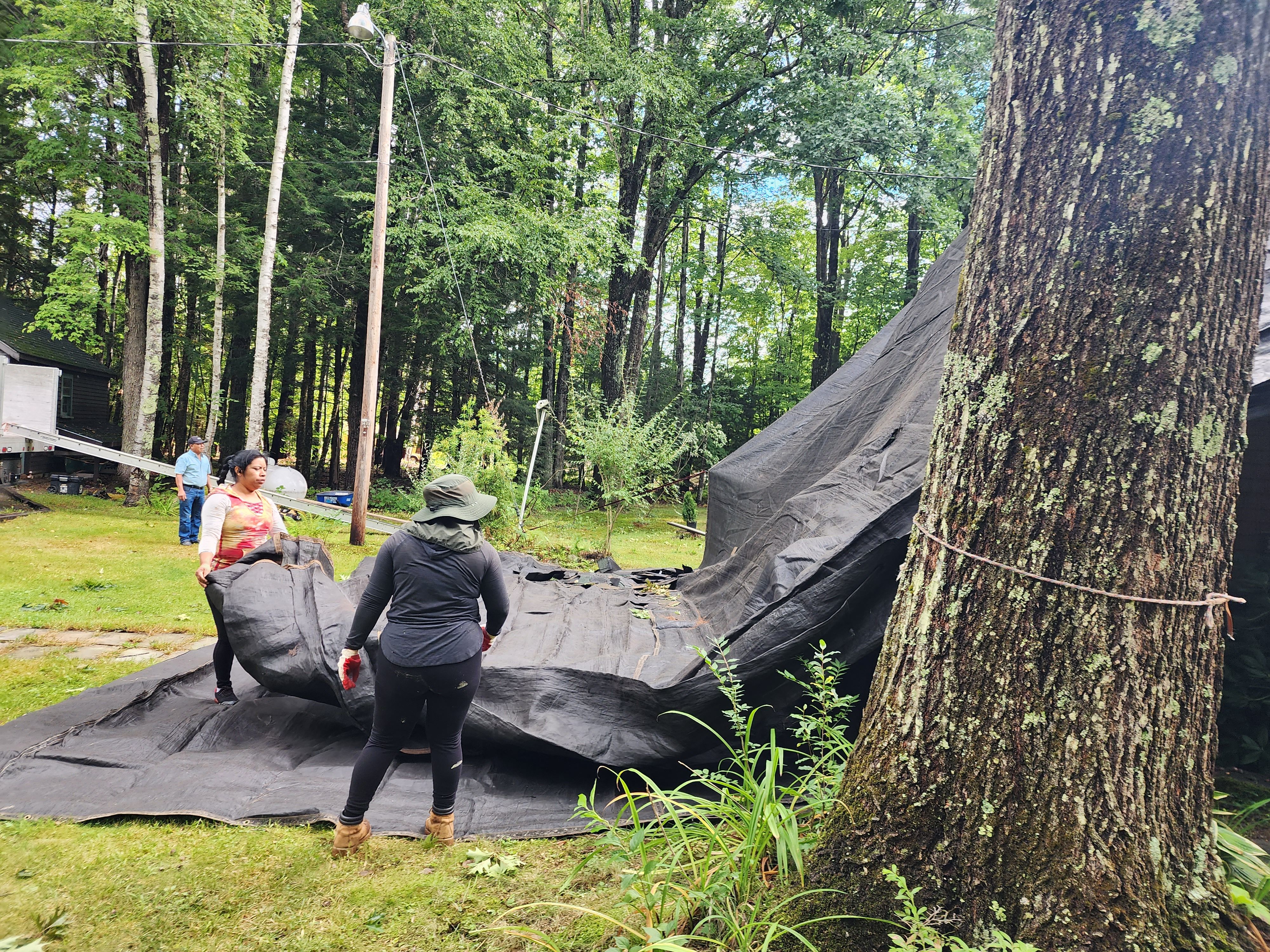 Roofing for Jalbert Contracting LLC in Alton, NH