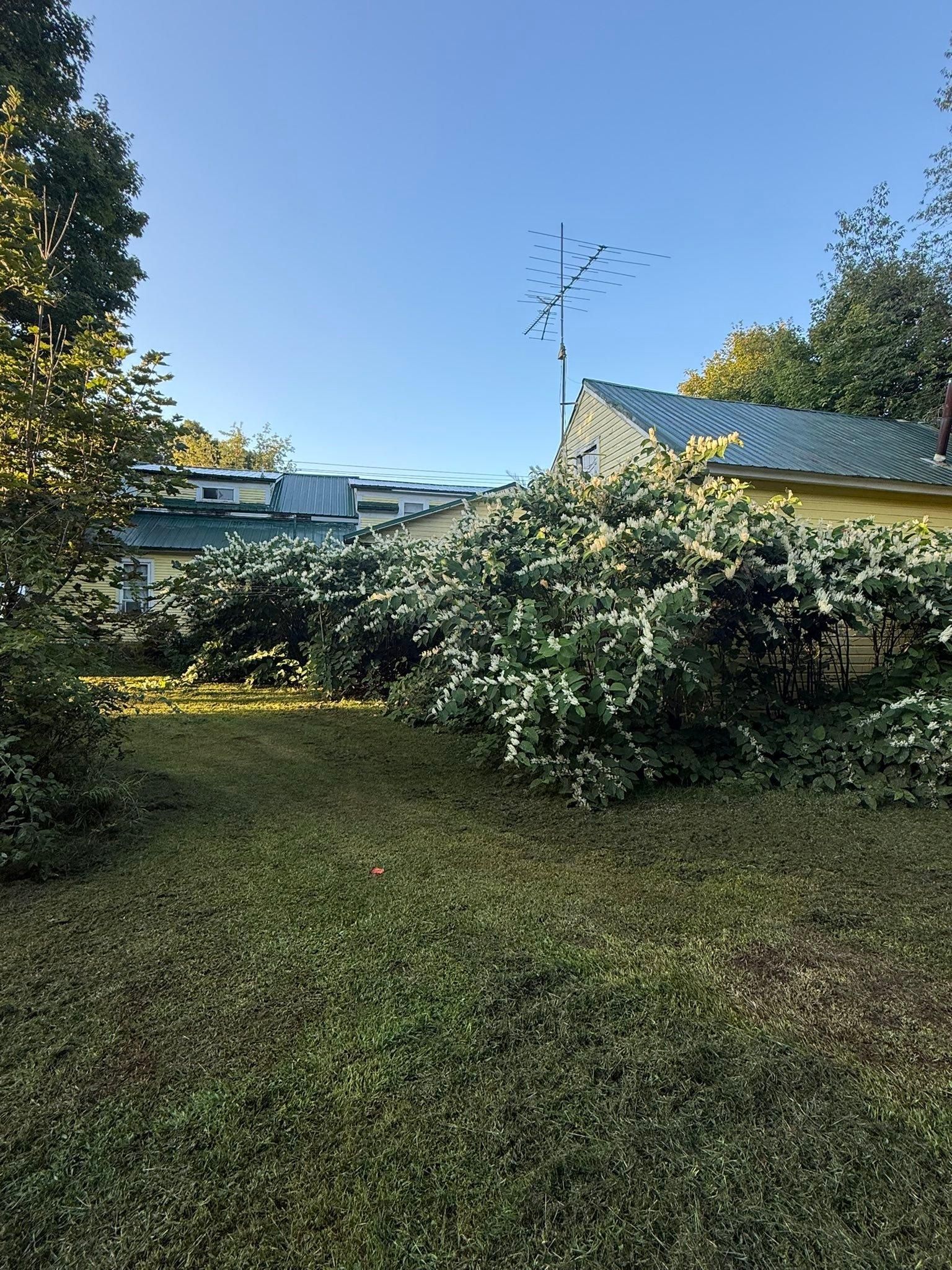 All Photos for Bishop’s Property Maintenance in Franklin, VT