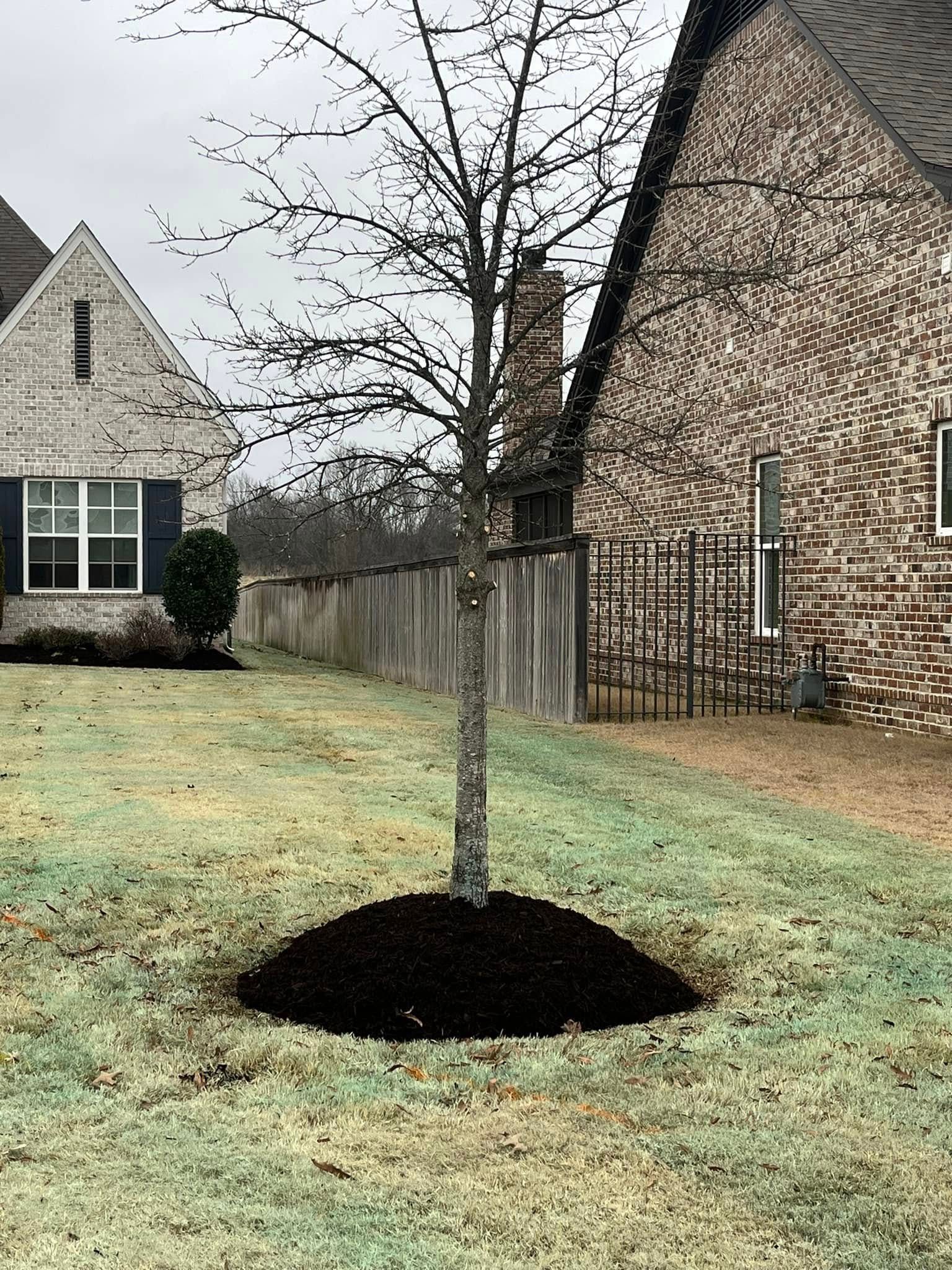 All Photos for Spectacular LawnScapes in Olive Branch, MS