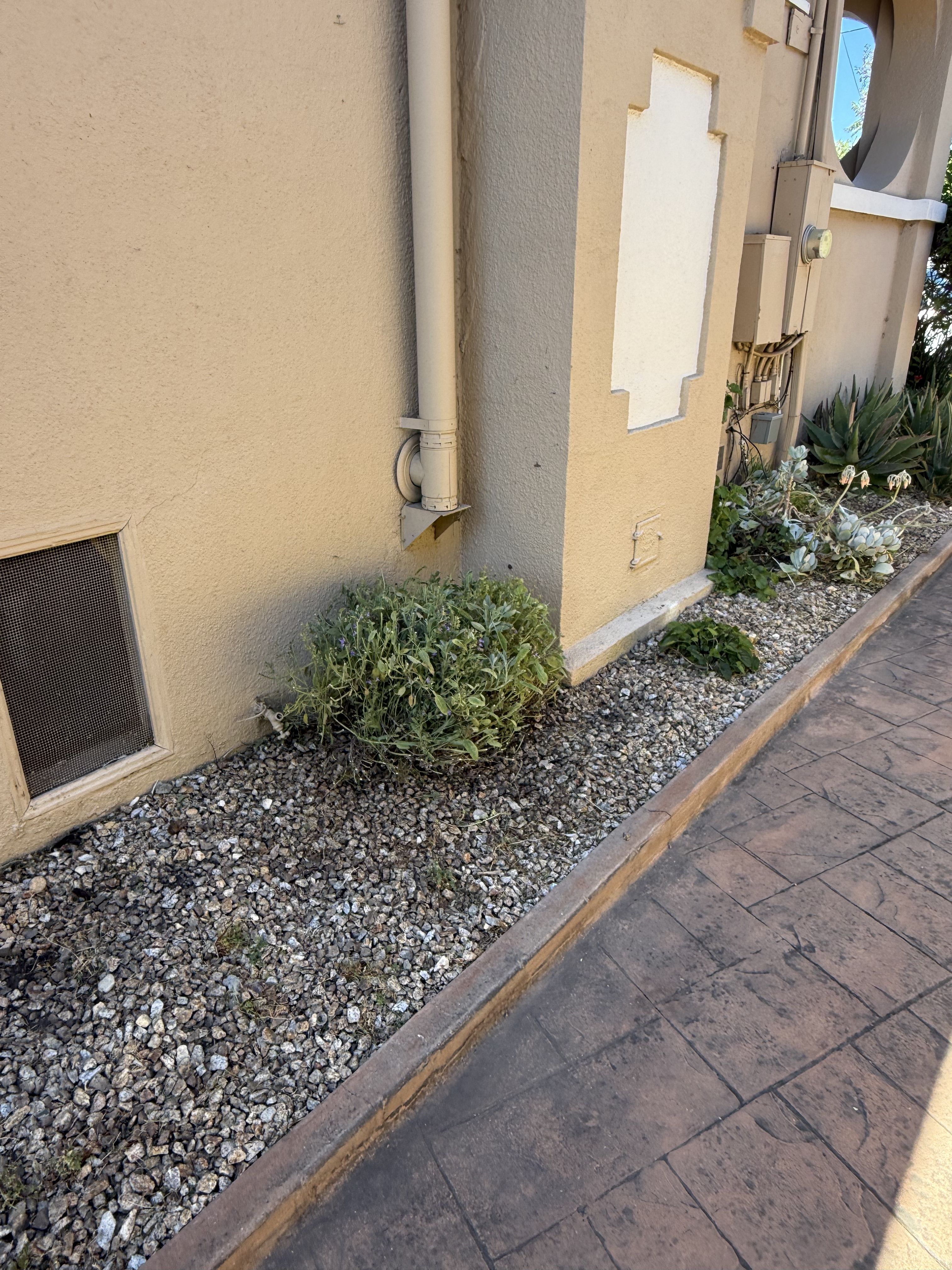  for CBA Landscaping in Hayward, CA
