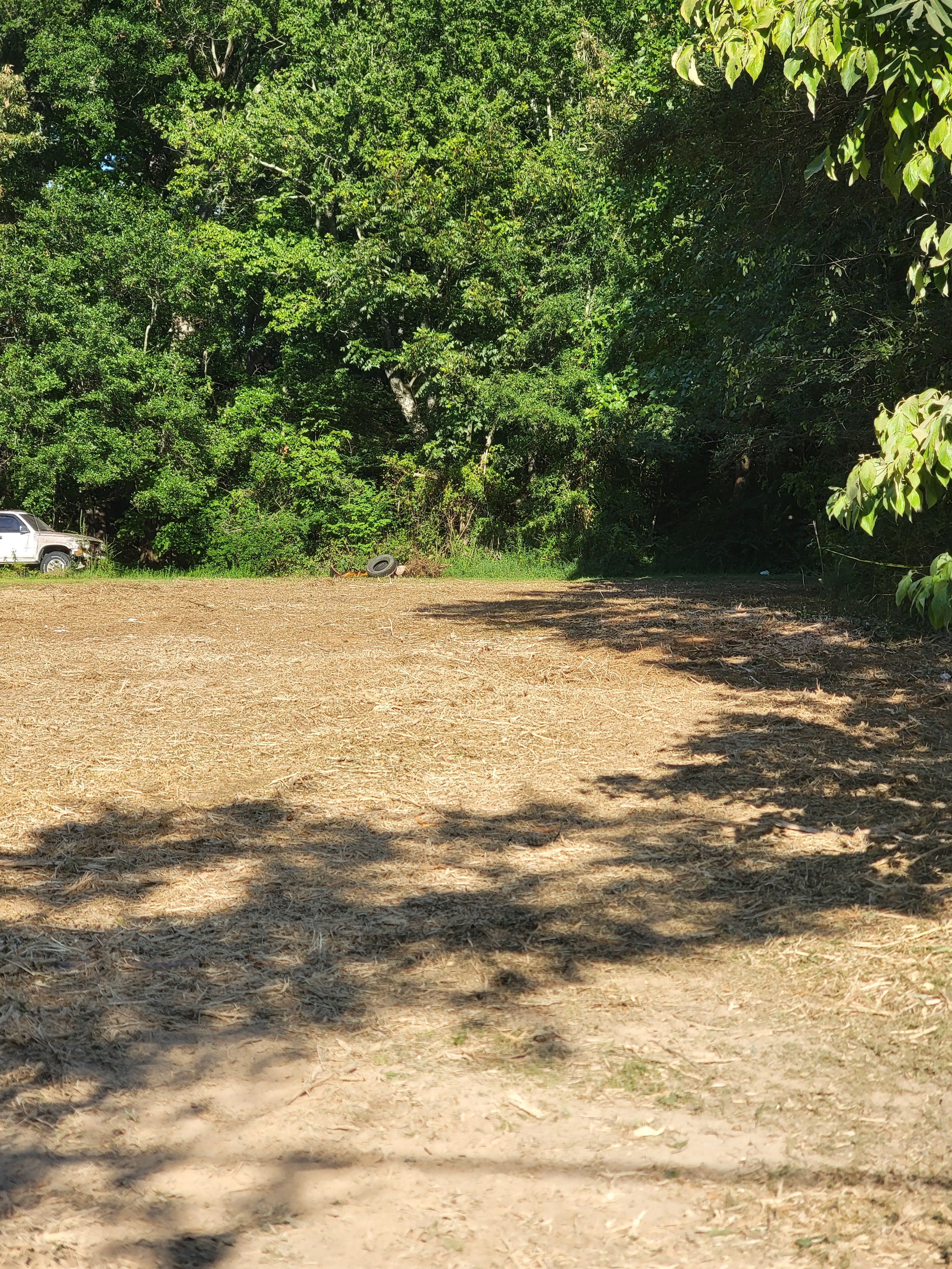  for Z's Land Management & Forestry Mulching in Smithville, TN