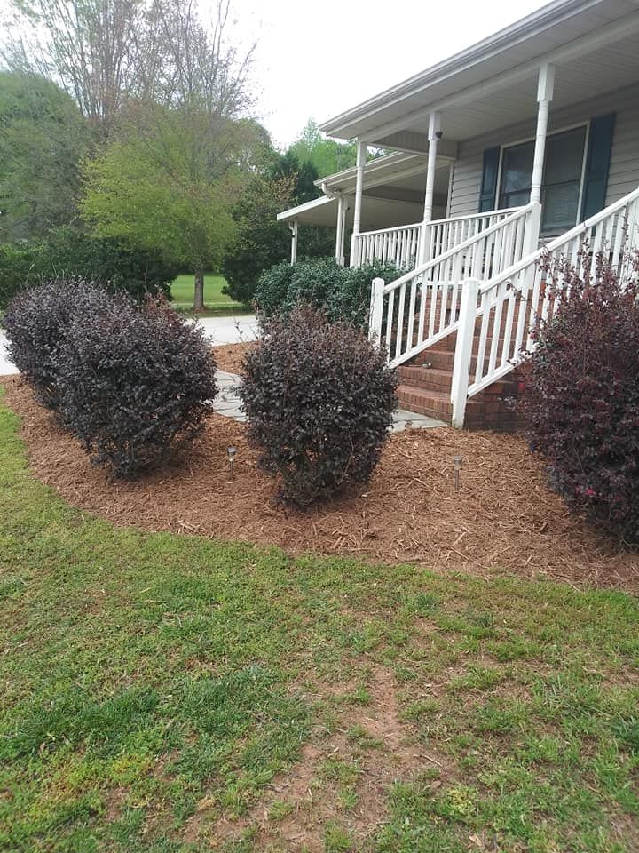  for Palmetto Cuts Lawn Care LLC in Simpsonville, SC