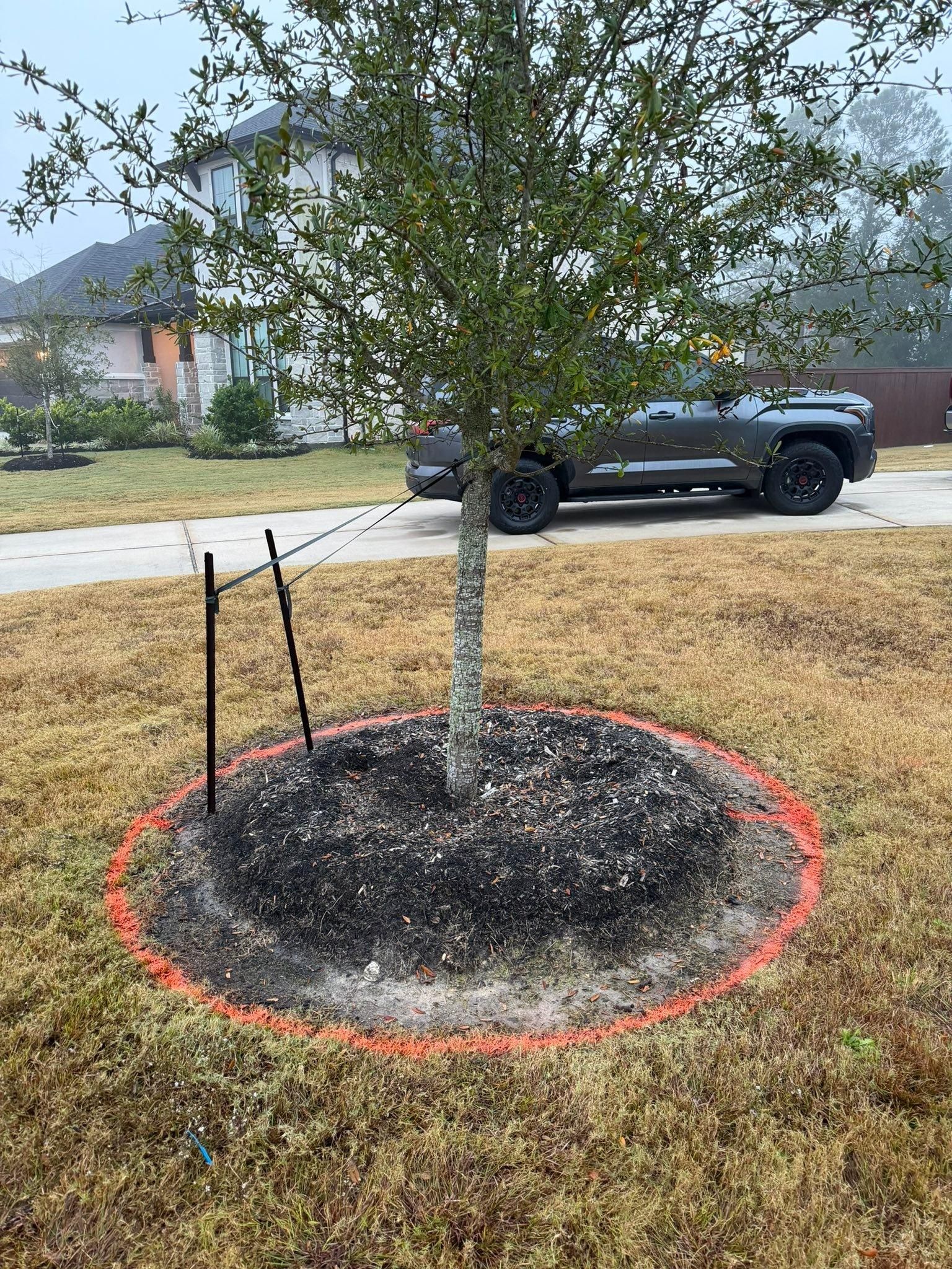  for Texas Curb N Borders in Houston, TX