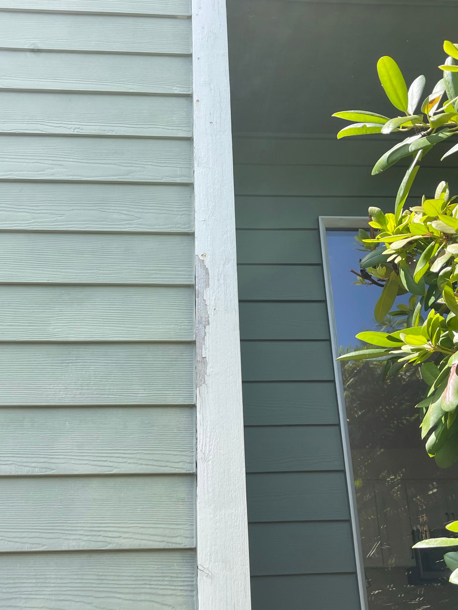  for Tony's Remodeling & Painting in Renton, WA