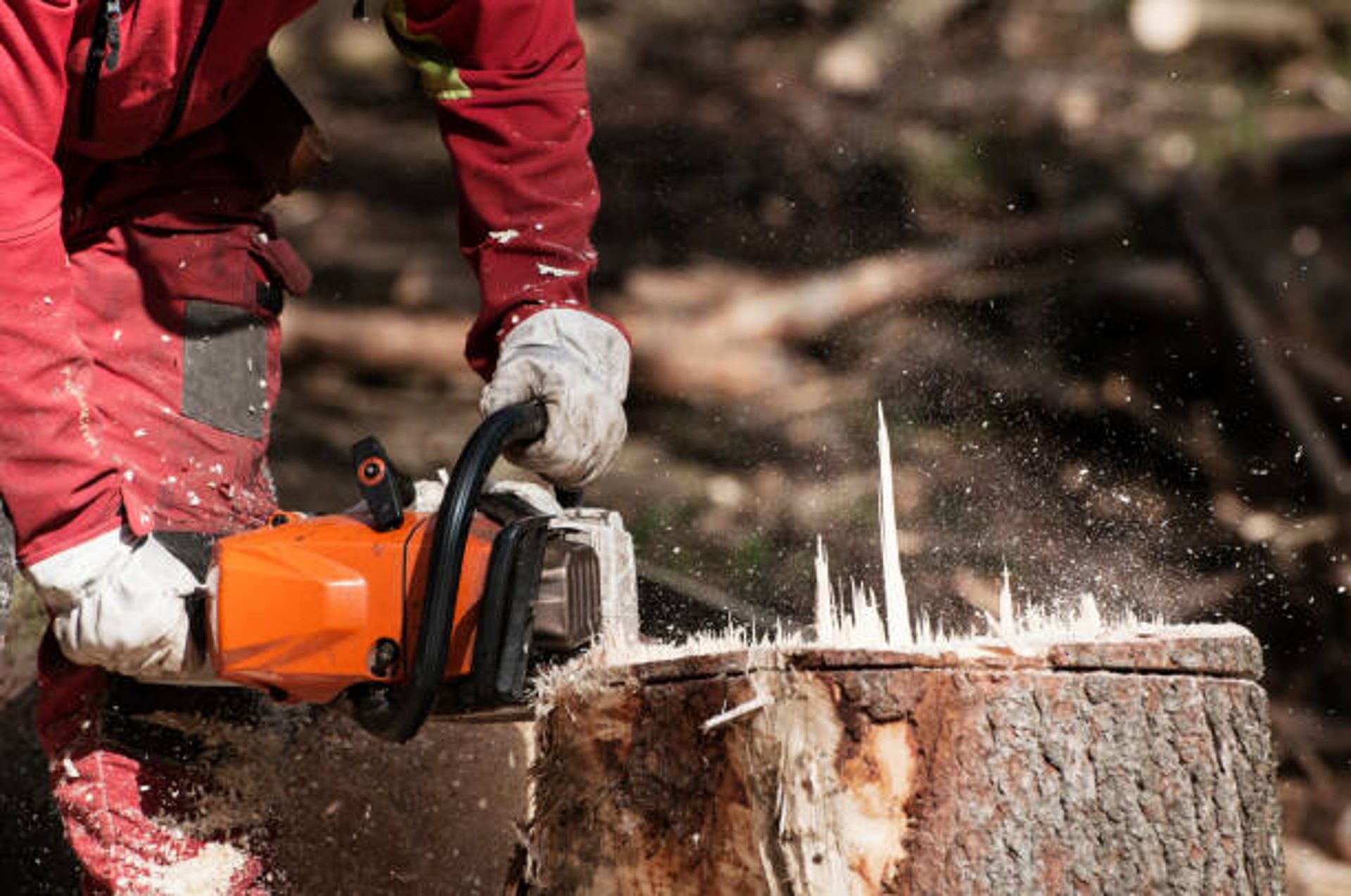 Tree Services for Transforming Landscaping & Tree Service in Bowling Green, KY