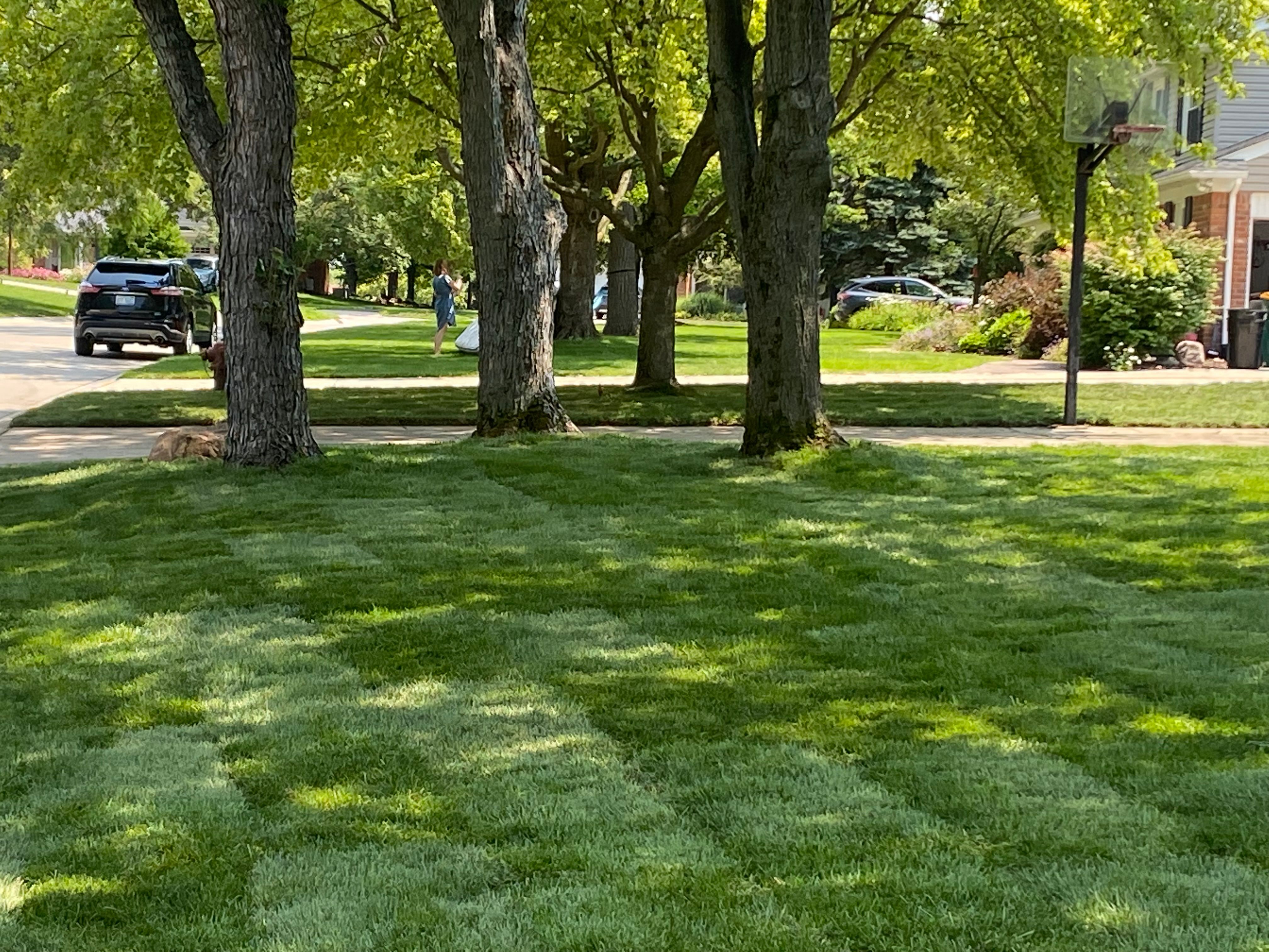  for Alltimate Outdoor Services in Warren, MI