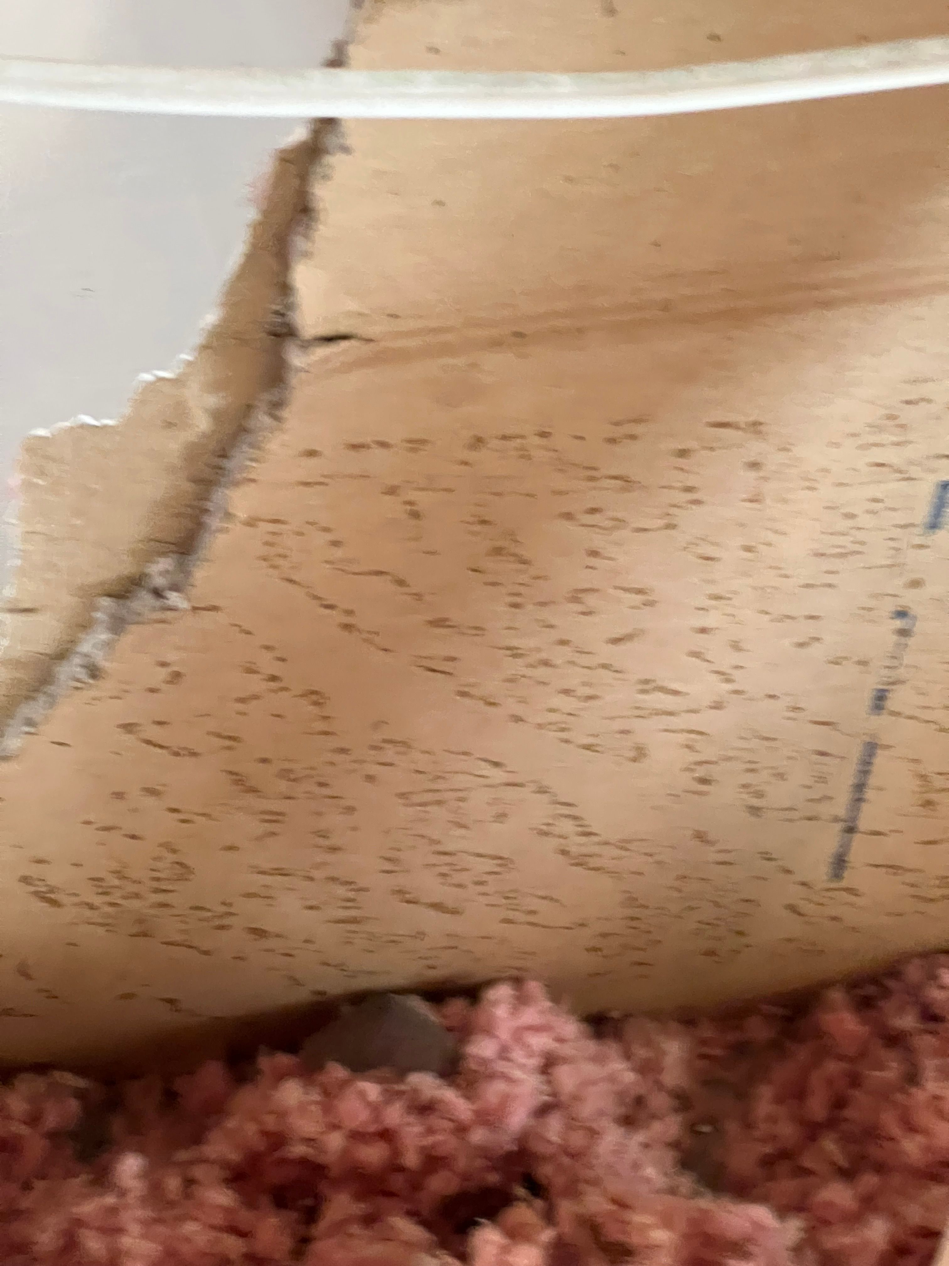  for N&D Restoration Services When Disaster Strikes, We Come In in Cape Coral,  FL