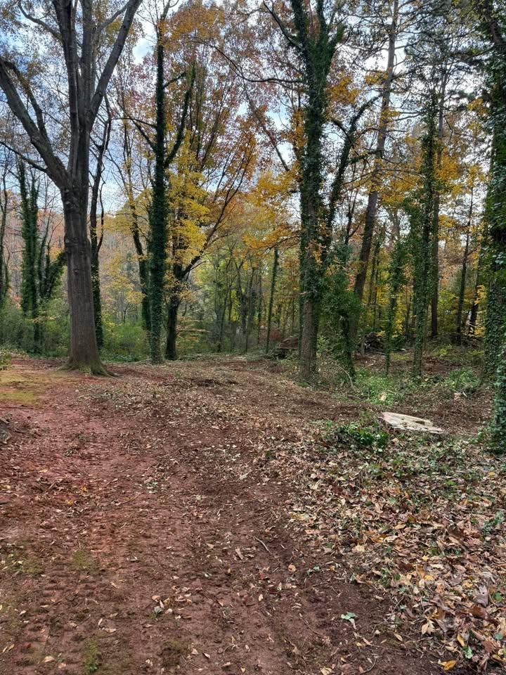  for Down South Tree Care and Landscaping in Maiden, NC