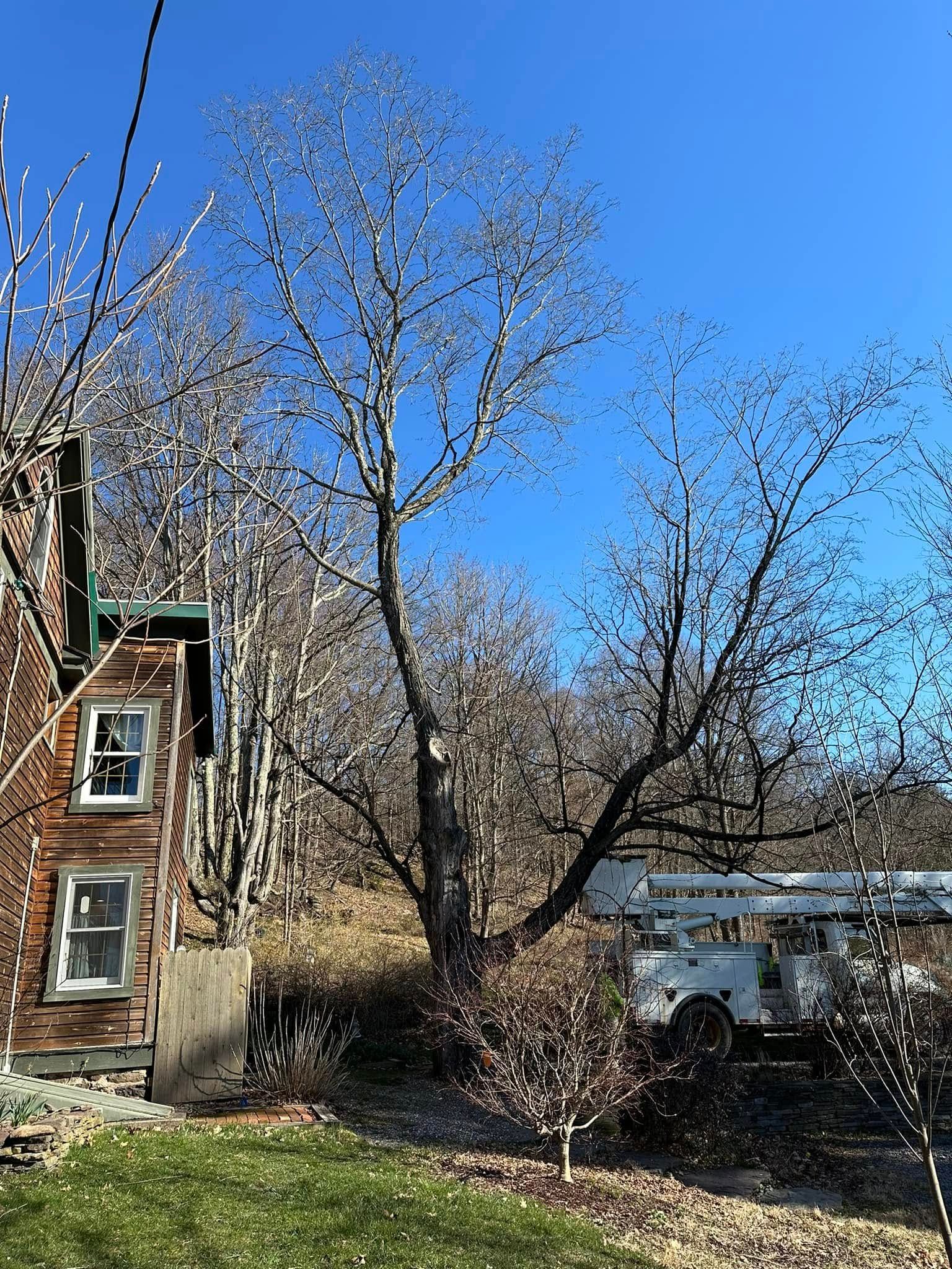  for All American Tree Services LLC in Dallas, PA