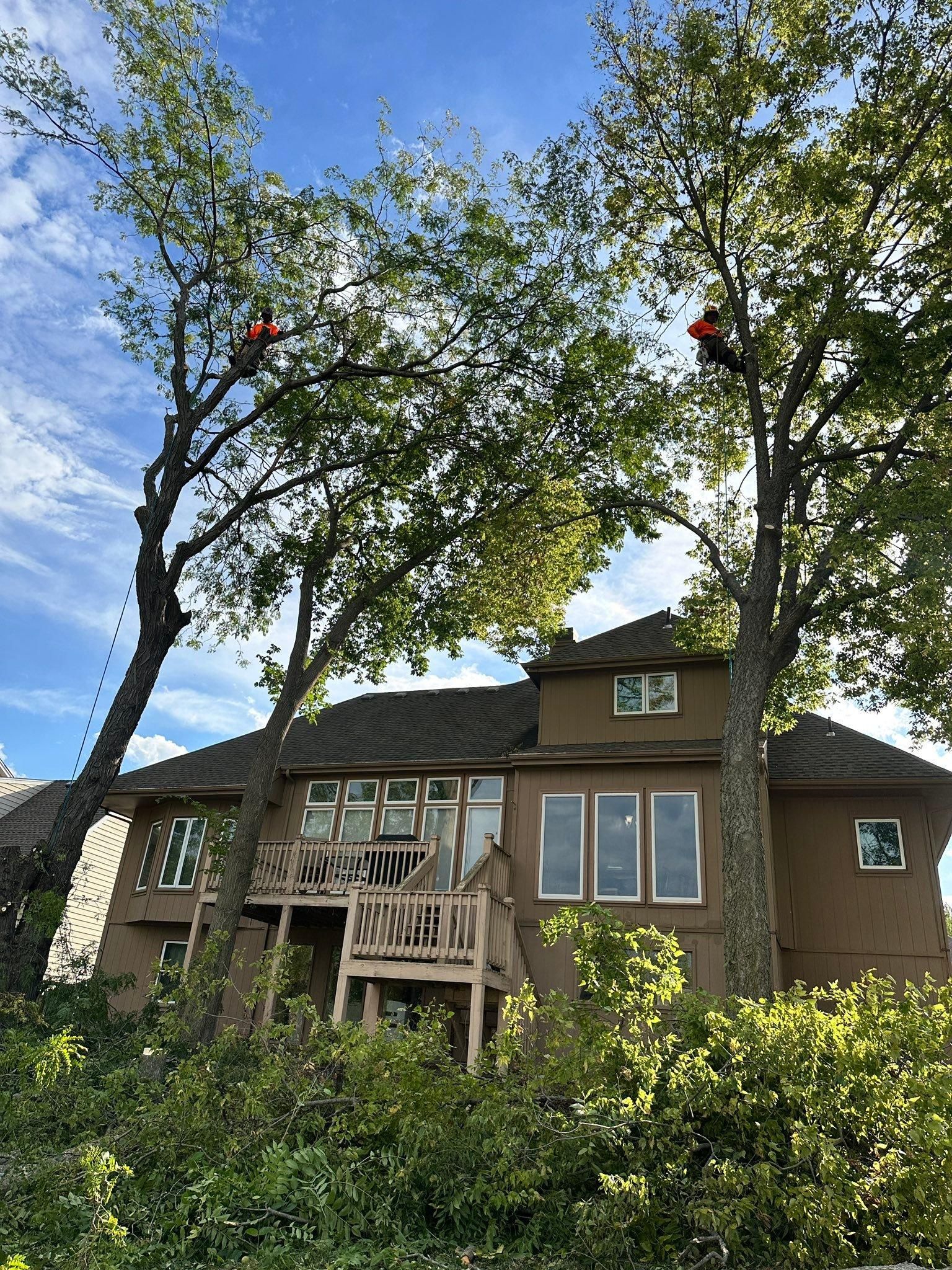 All Photos for Cross Family Tree Service in Kearney, MO