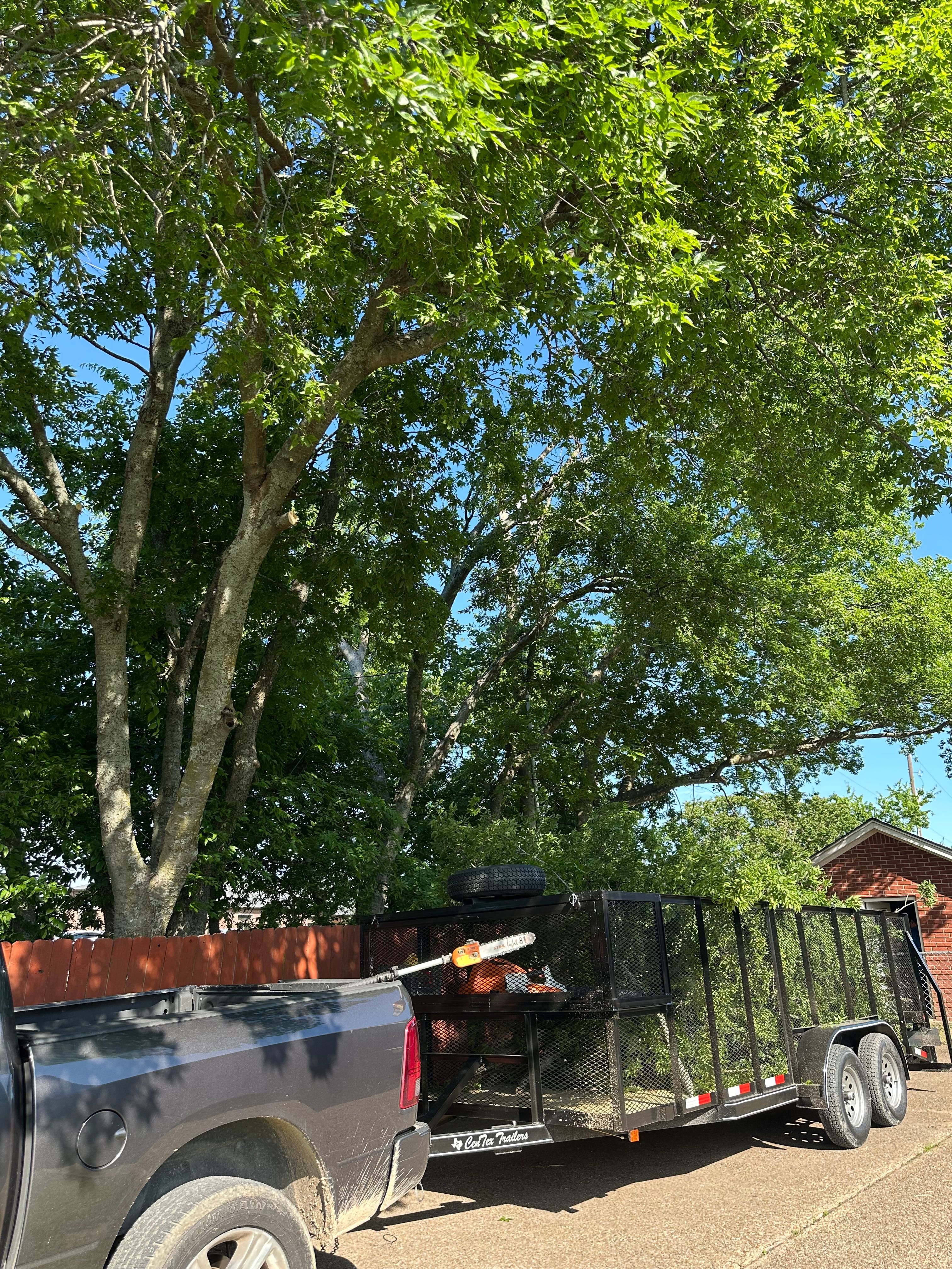  for Watson Lawn Care in Hillsboro, TX