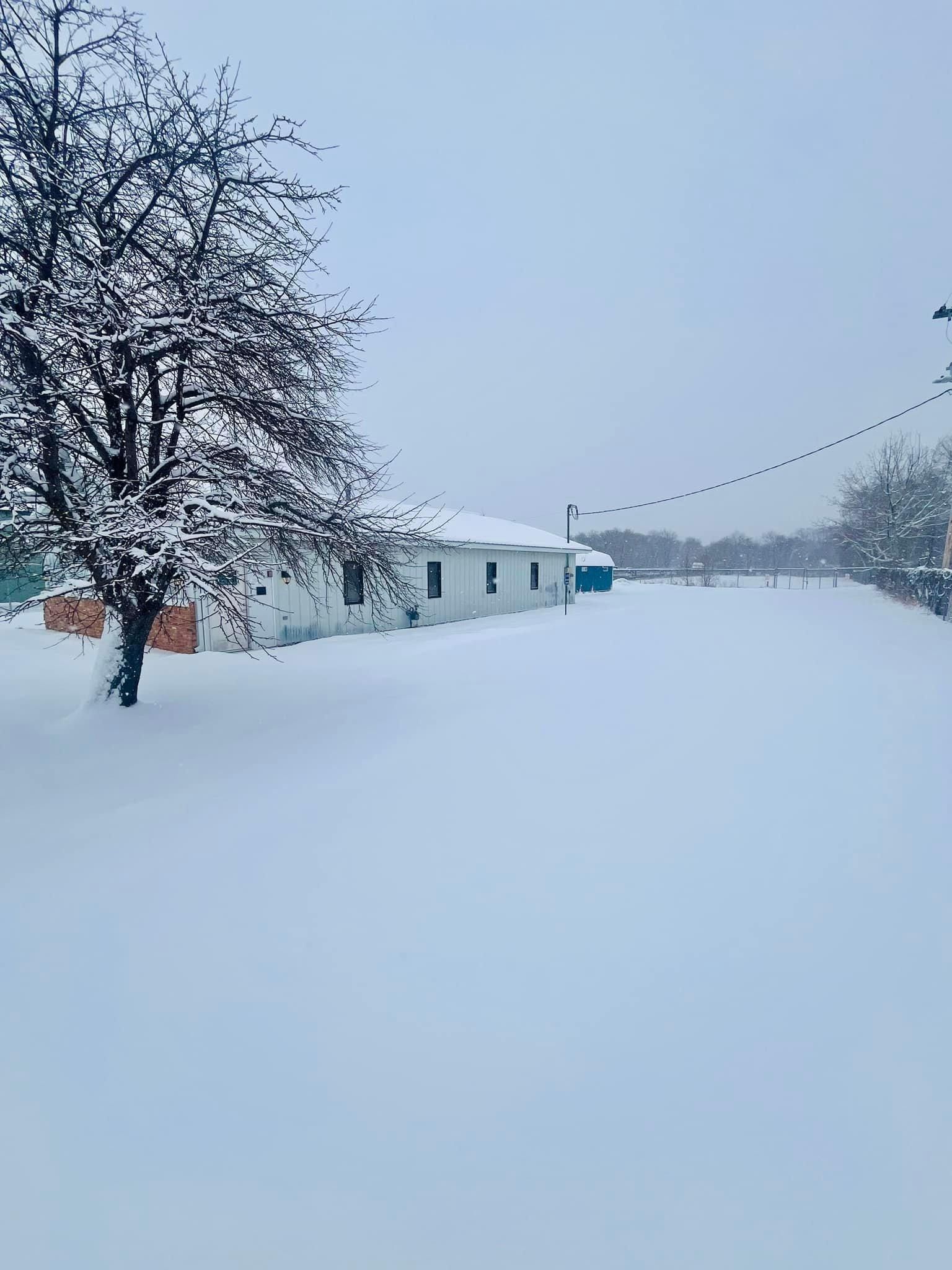 All Photos for K and Z Tree Care in Isanti County, MN