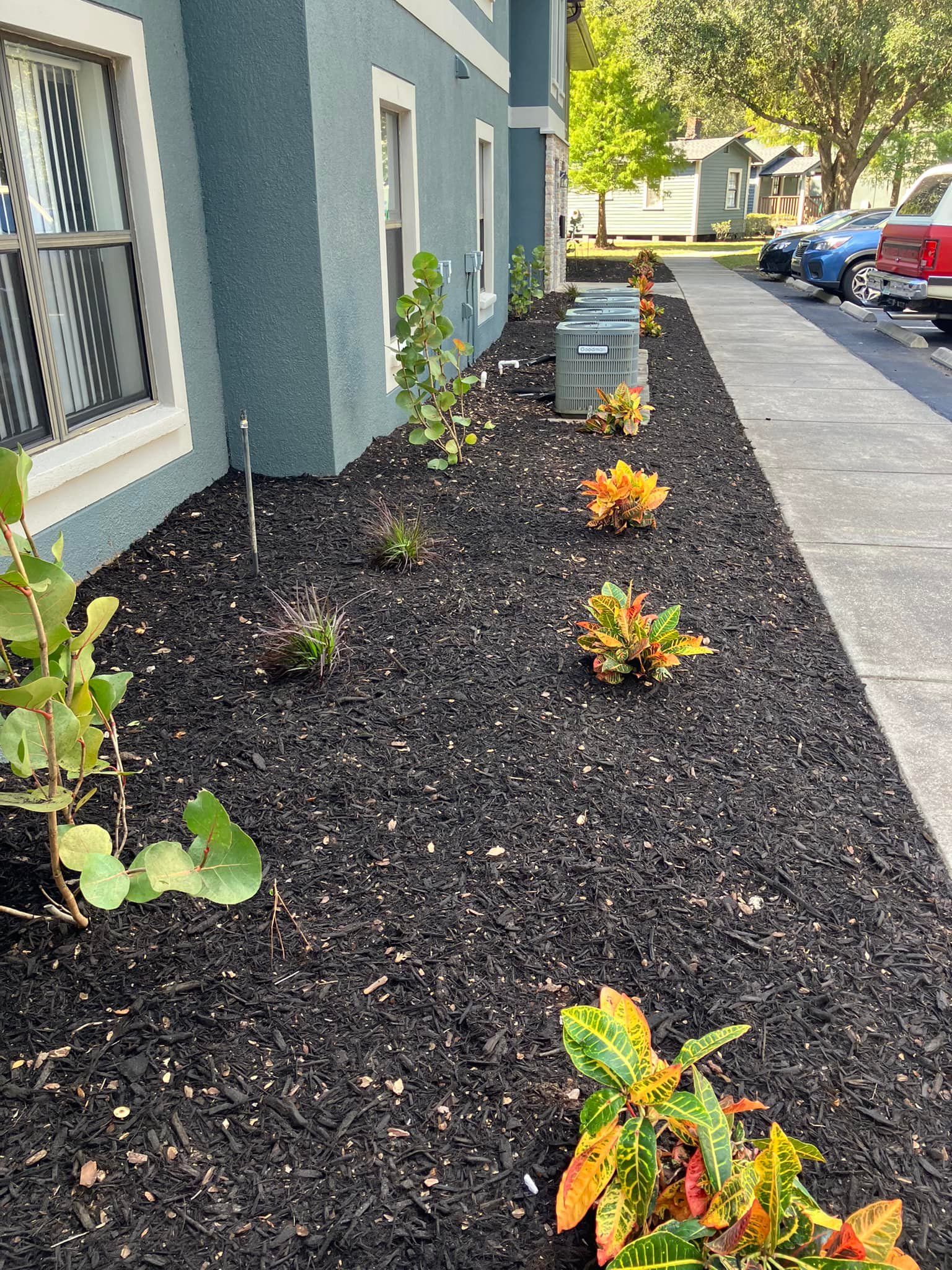 for Genesis Landscape Services in Spring Hill, FL