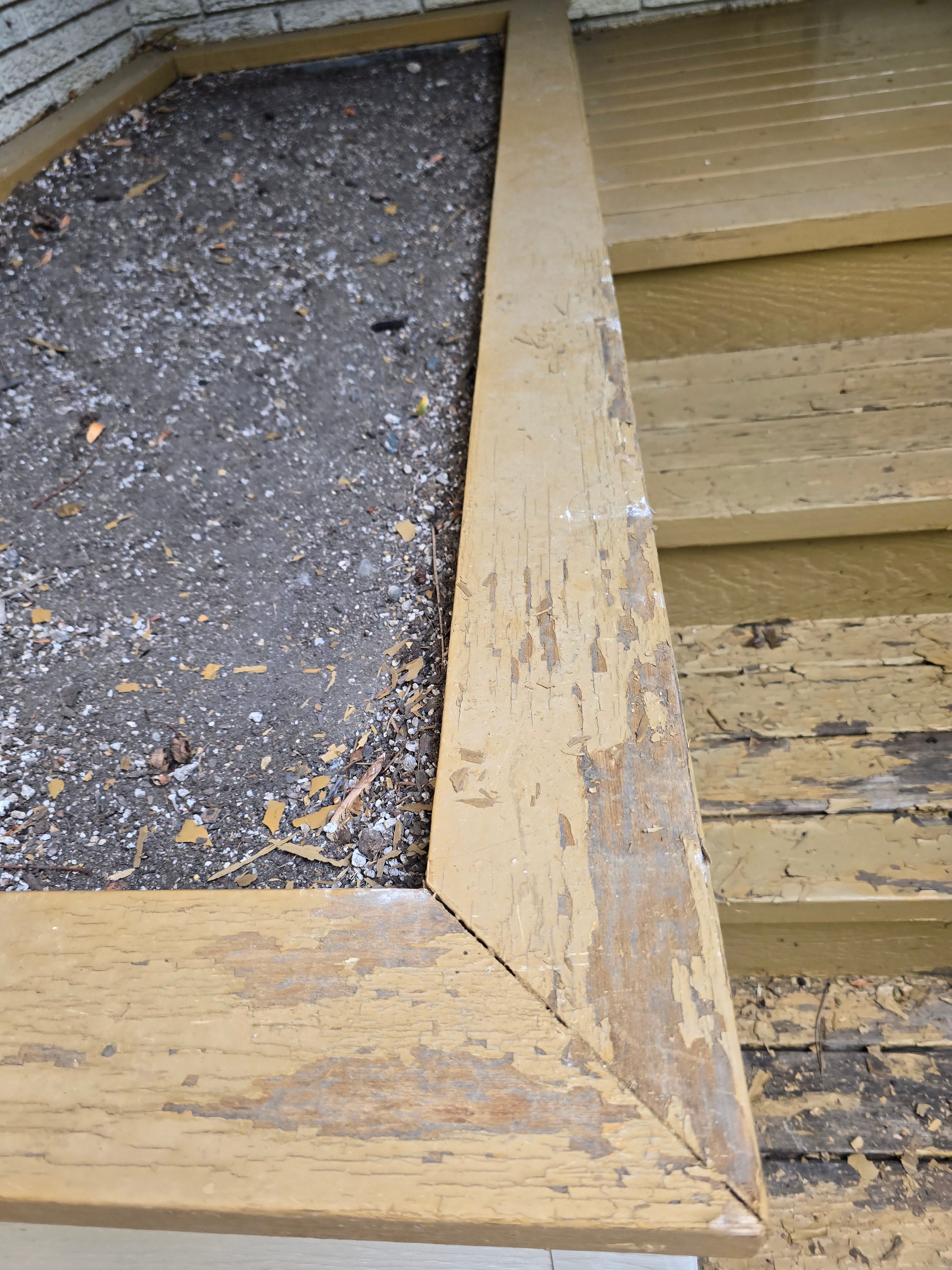 All Photos for Duraplus Topcoat Painting in New Brighton, MN