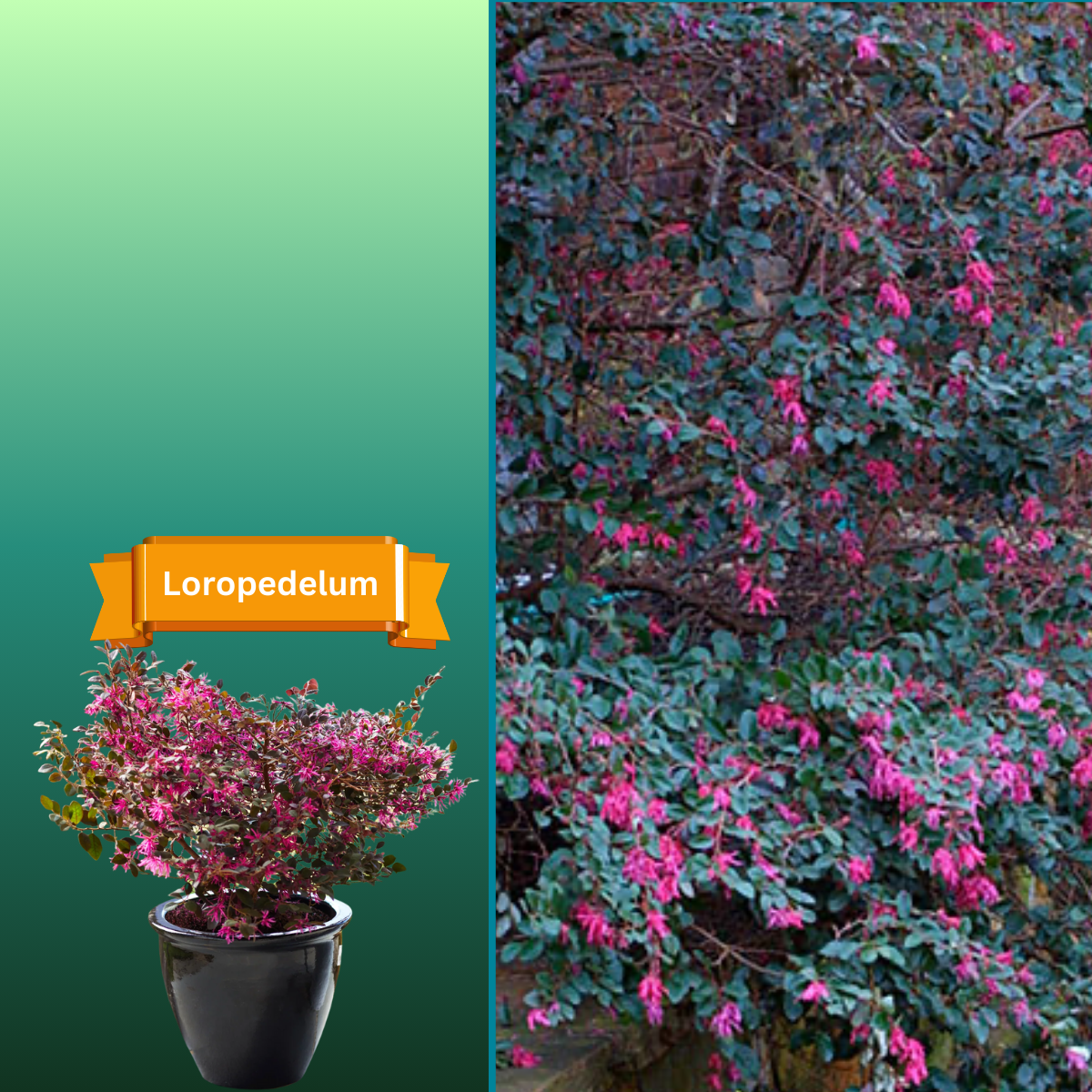  for R.B. & Company in Belleview, FL