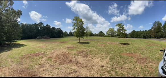  for T N L - Tree and Land Service in Reynolds, GA