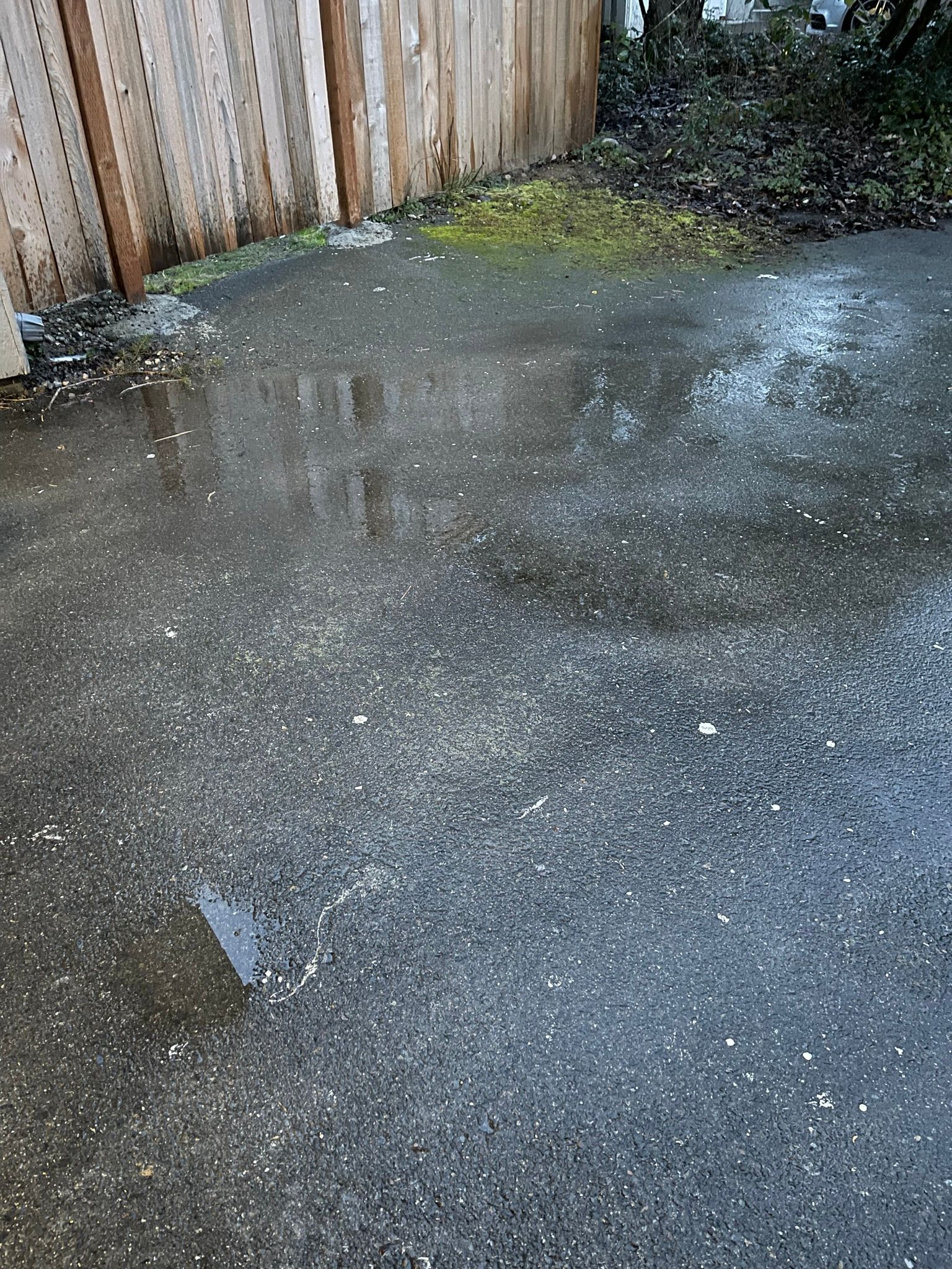  for Tony's Remodeling & Painting in Renton, WA