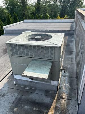All Photos for Park Place Property Maintenance in Essex County, NJ