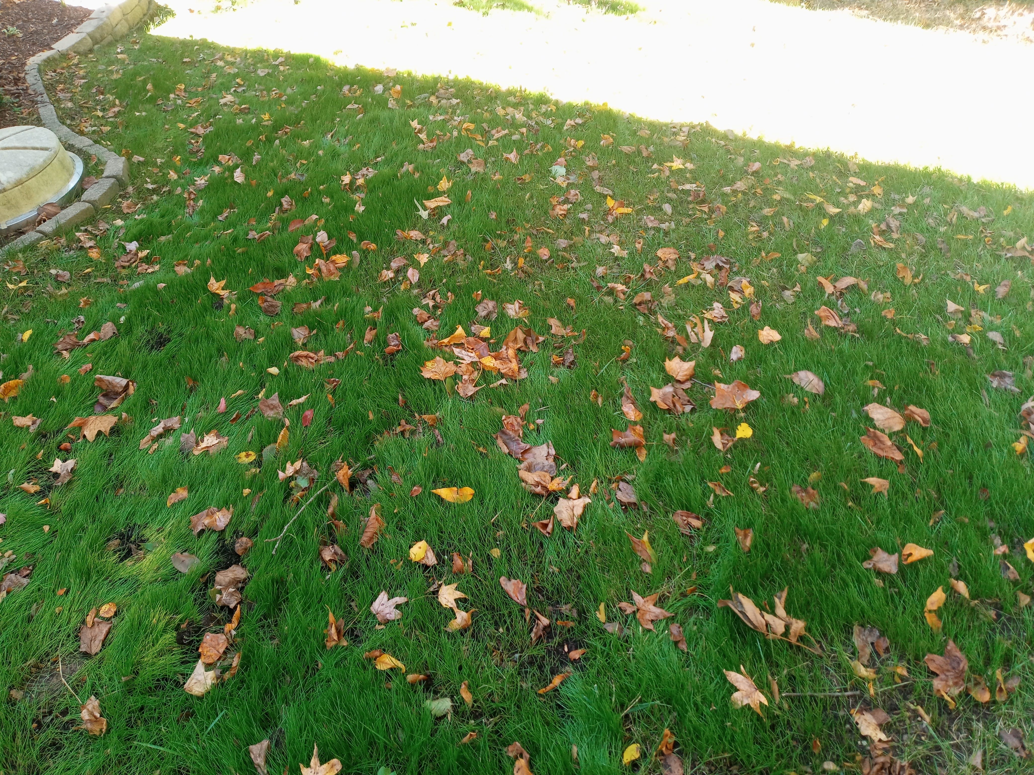  for Sam I AM Property Solutions in Sunderland, MD