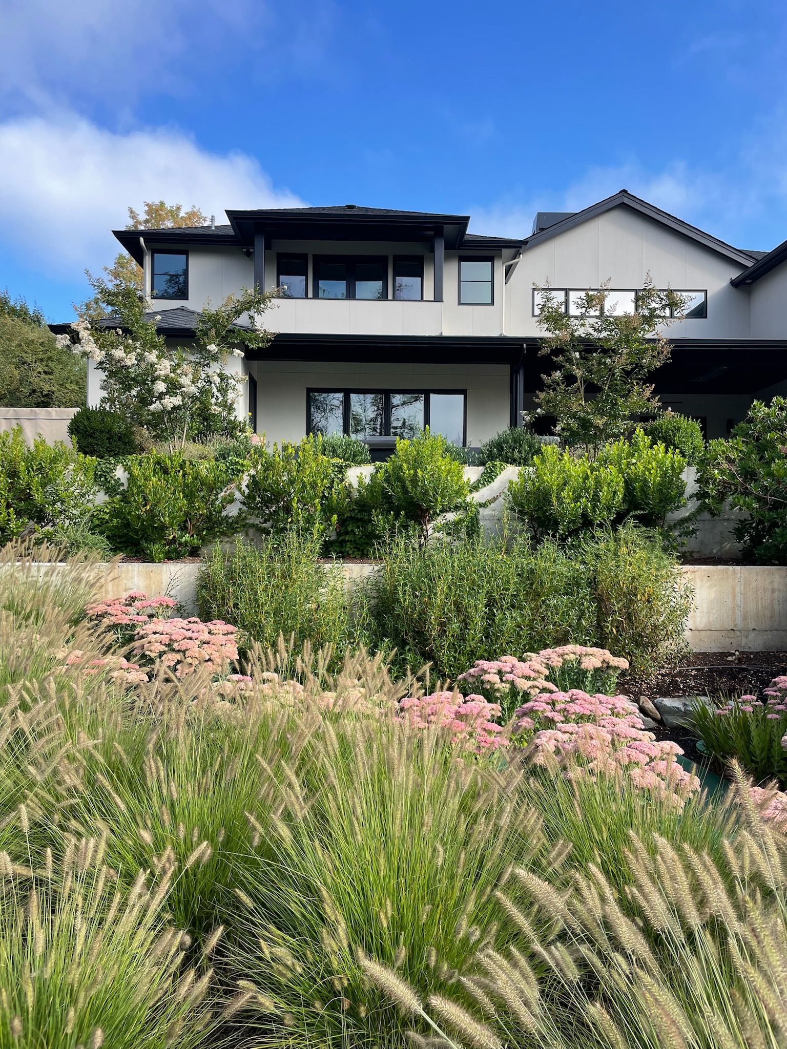  for Courtney Lewis Landscape Design in Portland, OR