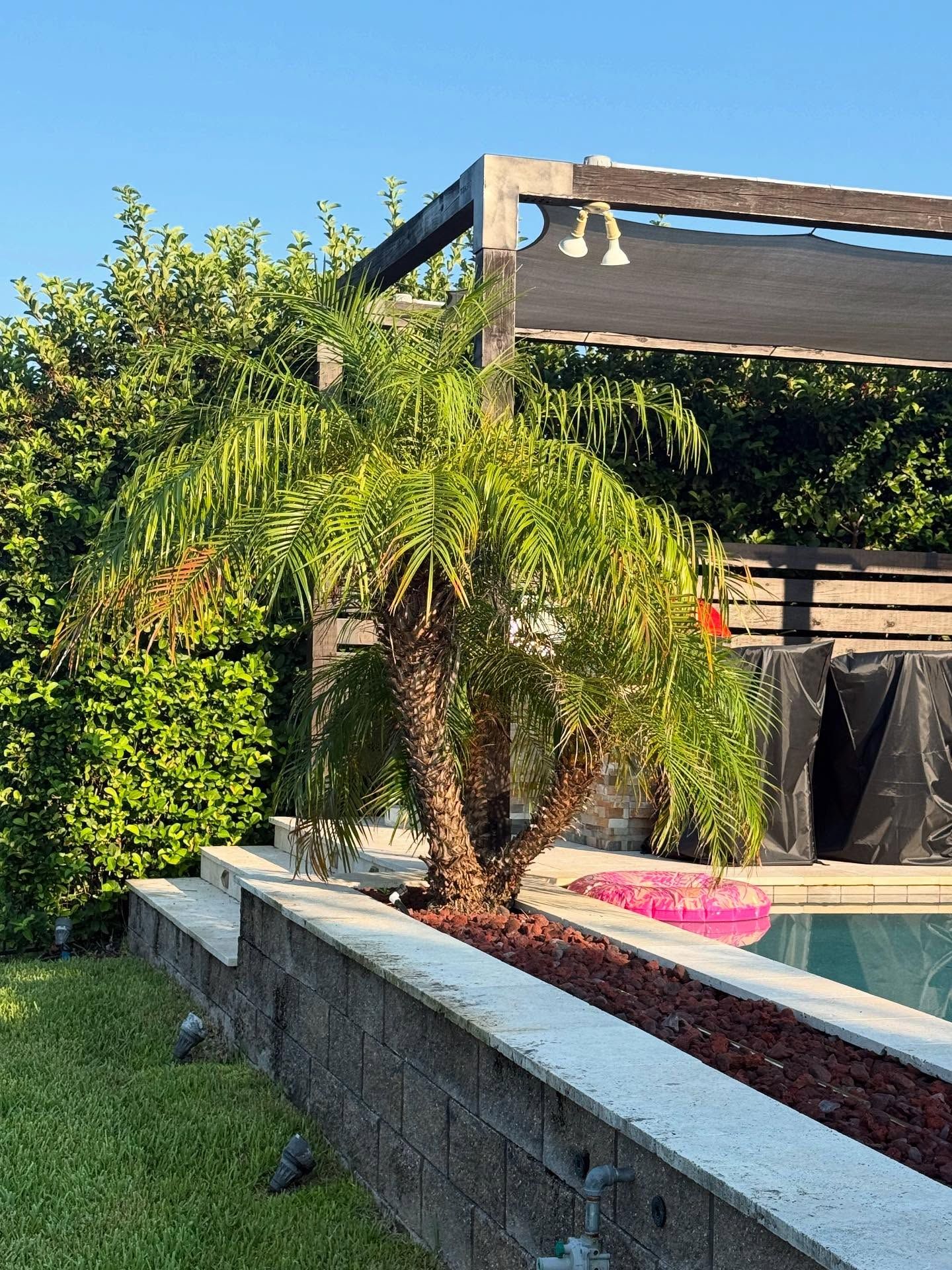  for Whole 9 Yards Services in Green Cove Springs, FL